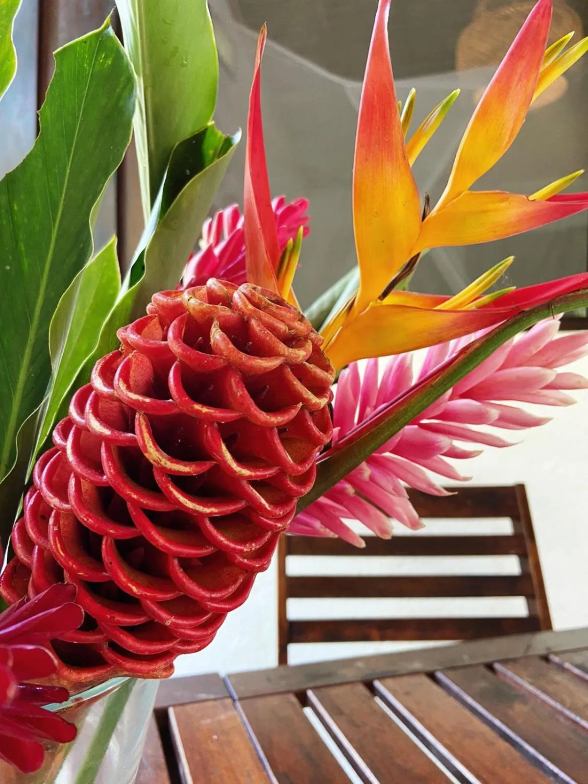 Garden in Reserva Natural Tierra Adentro