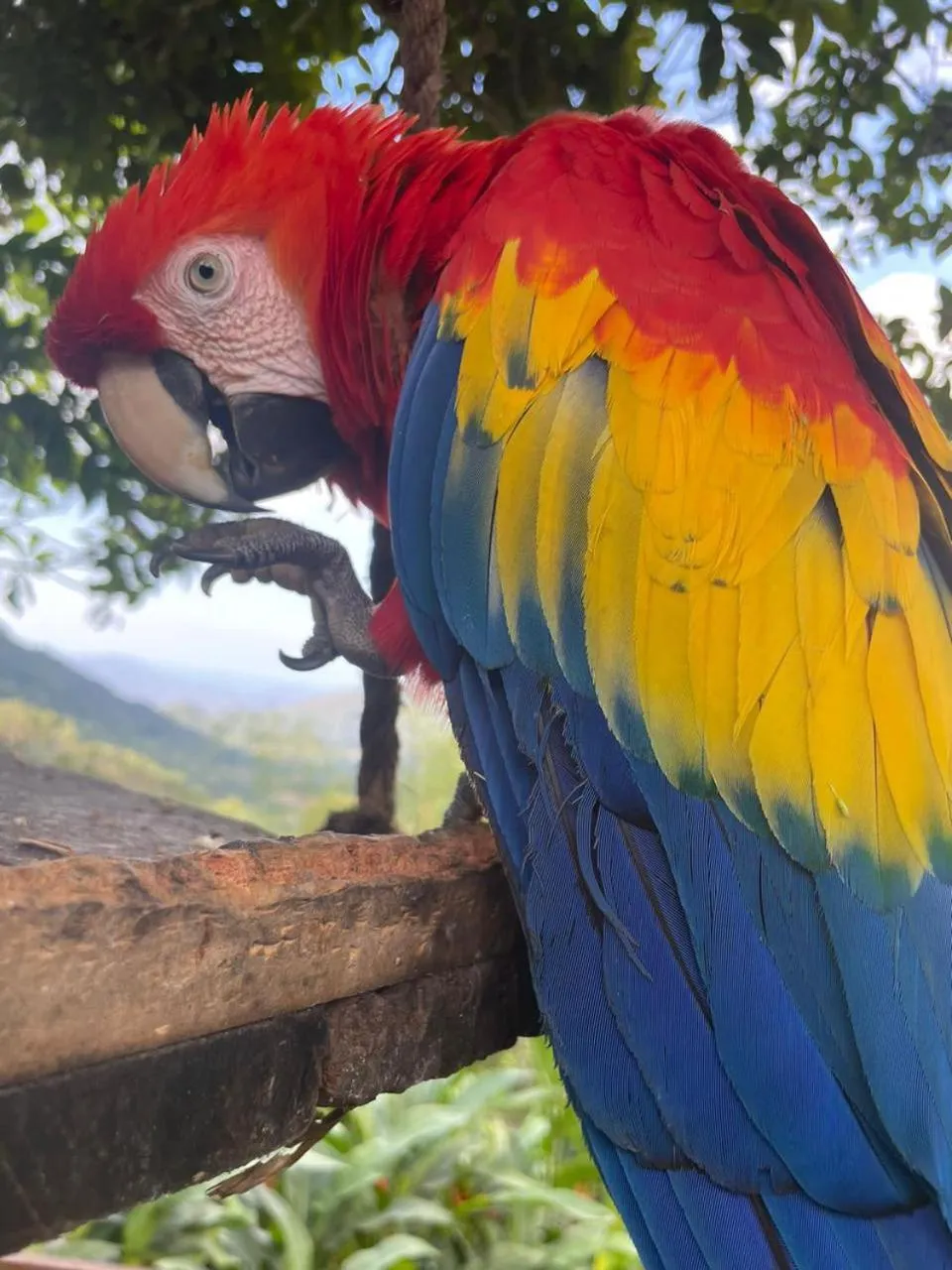 Animals in Reserva Natural Tierra Adentro