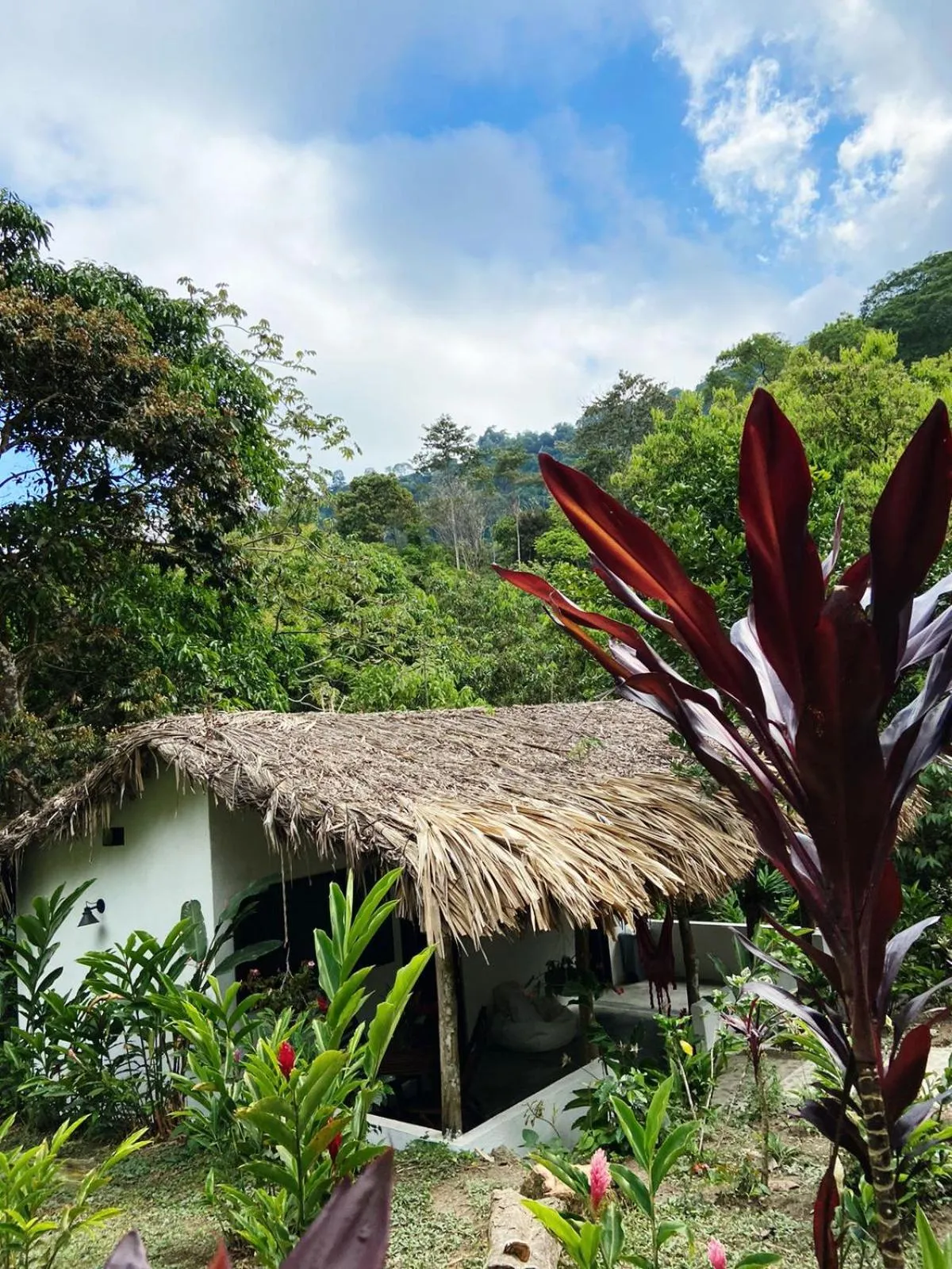 Natural landscape in Reserva Natural Tierra Adentro