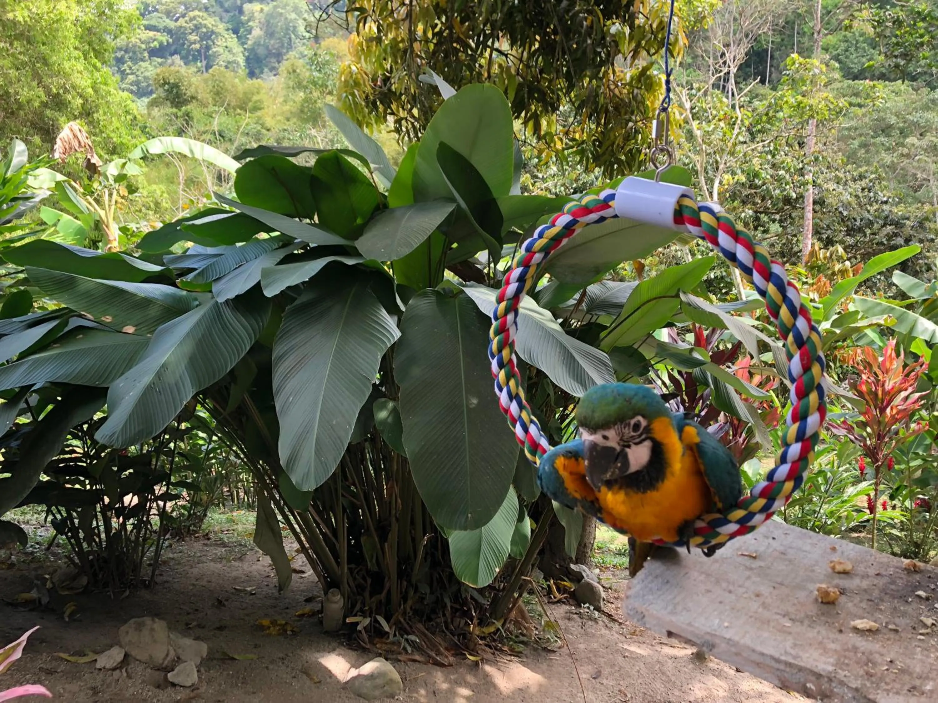 Patio in Reserva Natural Tierra Adentro