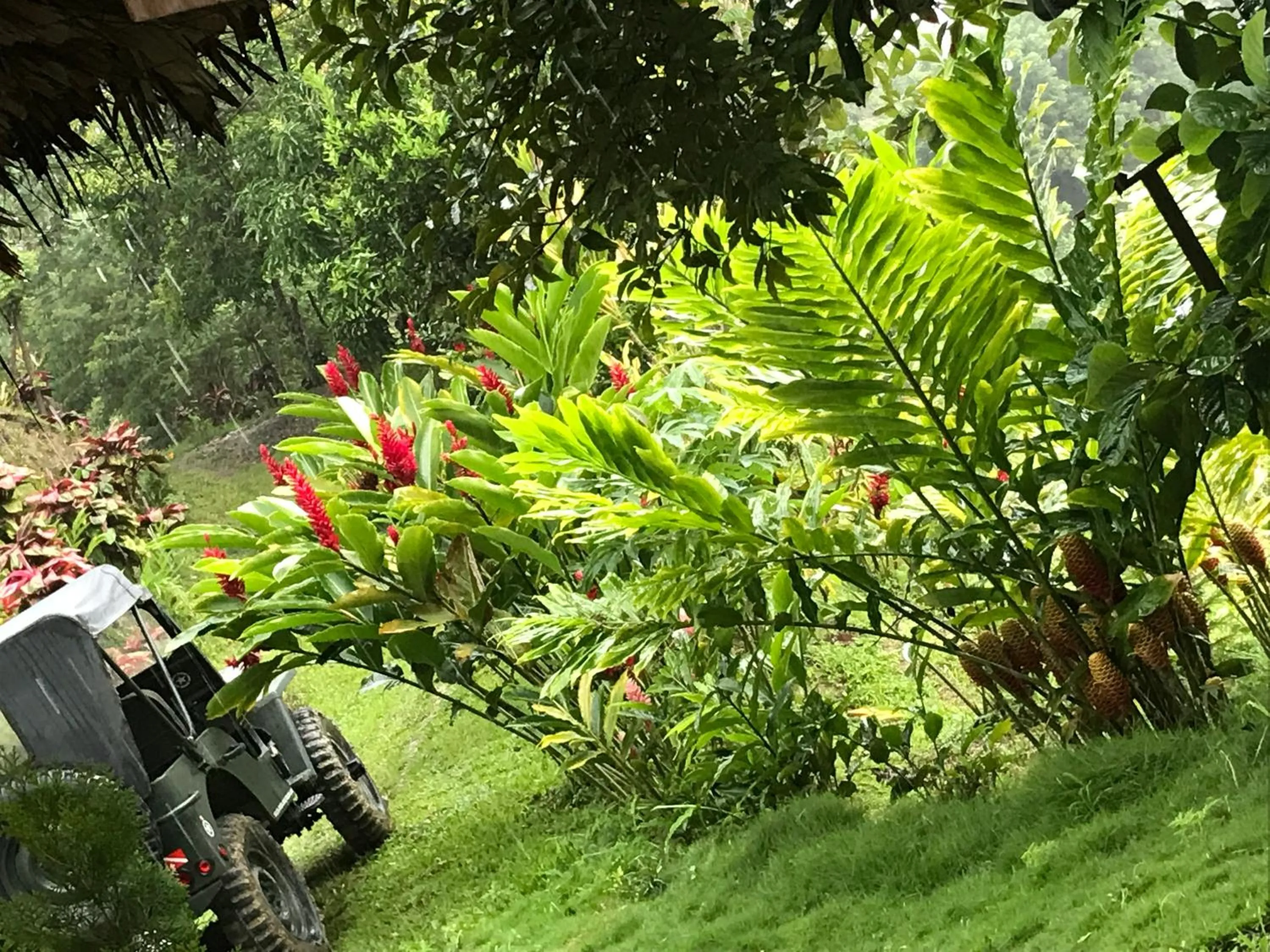 Garden view in Reserva Natural Tierra Adentro