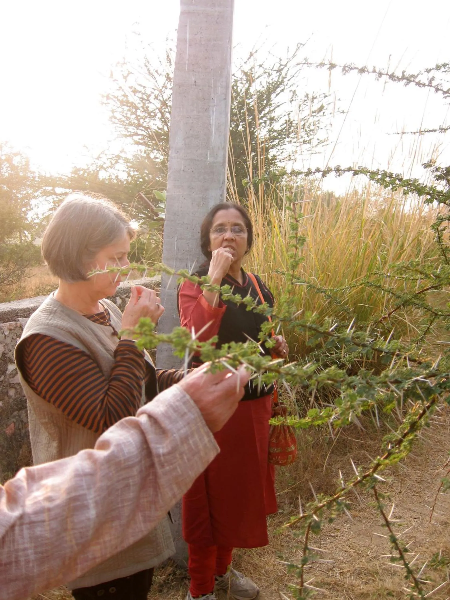 Spring in Savista Retreat