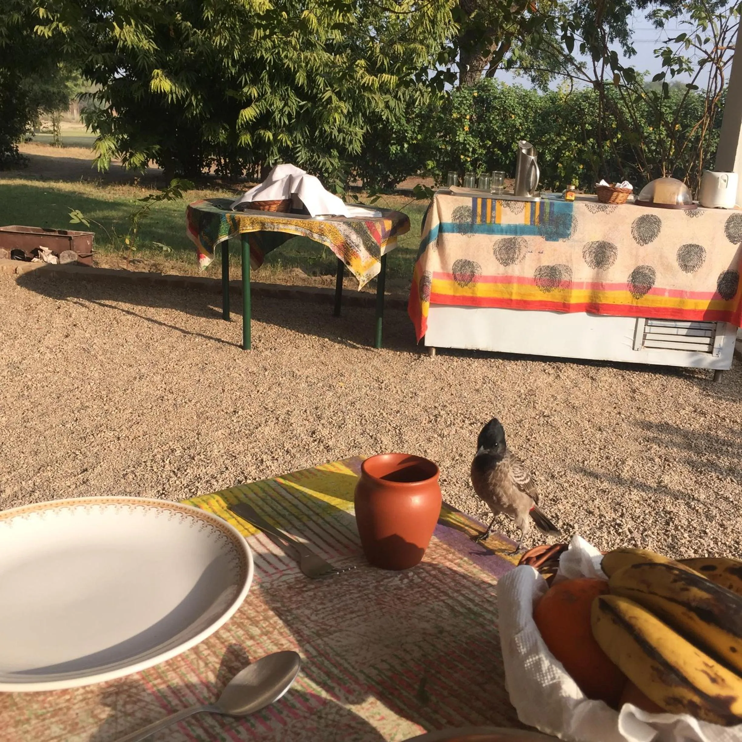 Day in Savista Retreat