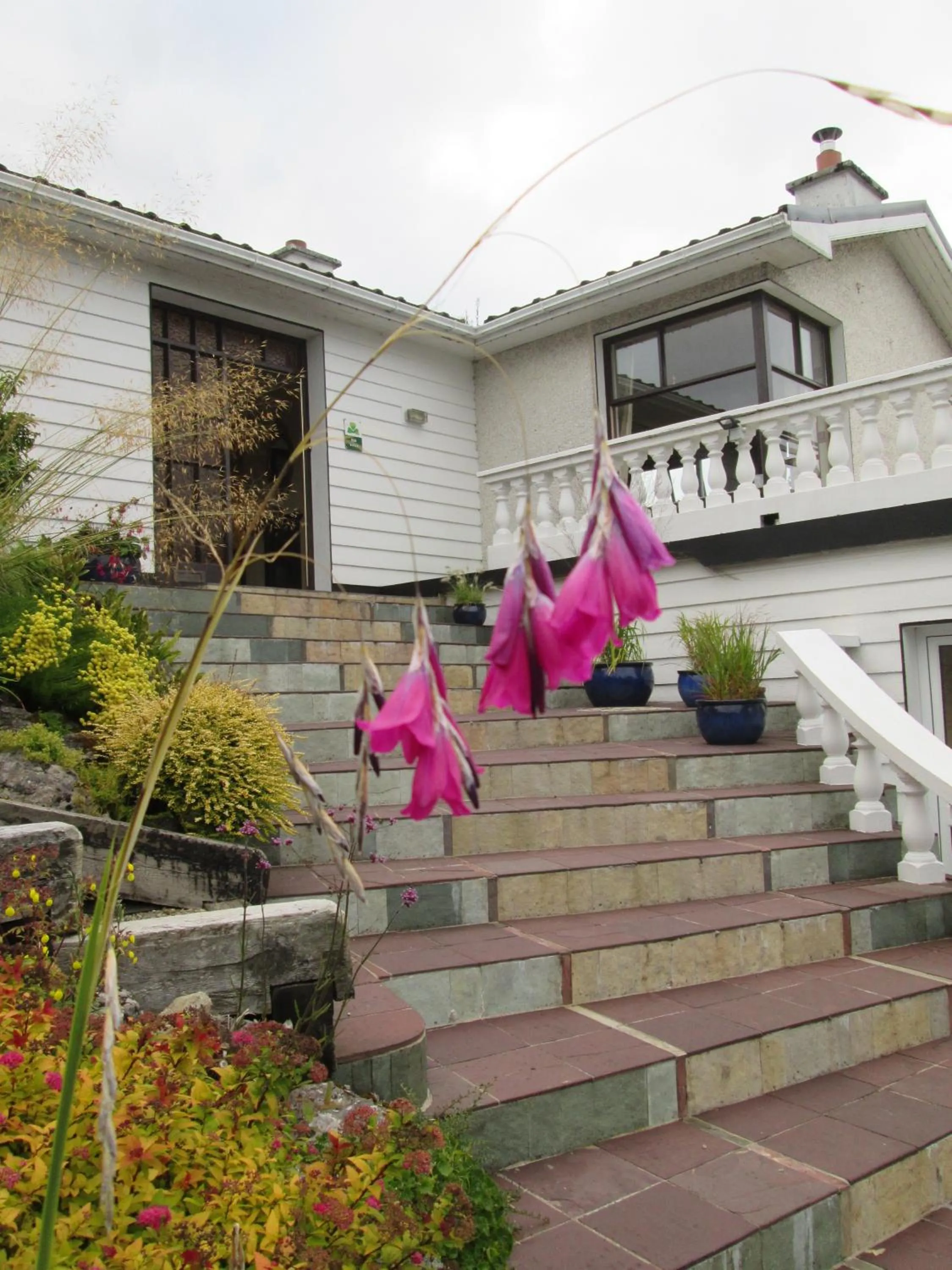 Facade/entrance in Kilbree House B&B