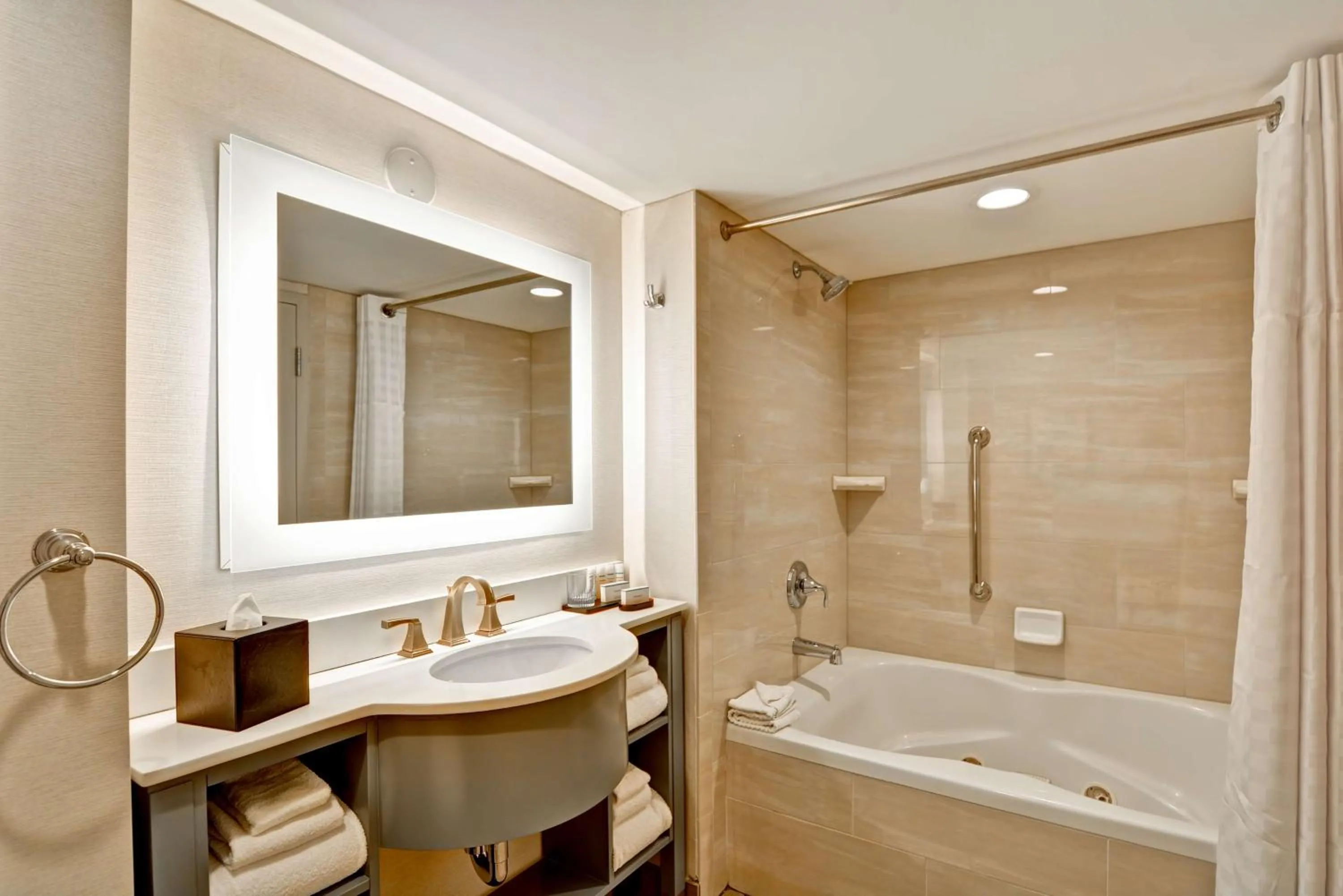 Bathroom in Embassy Suites by Hilton Orlando Downtown