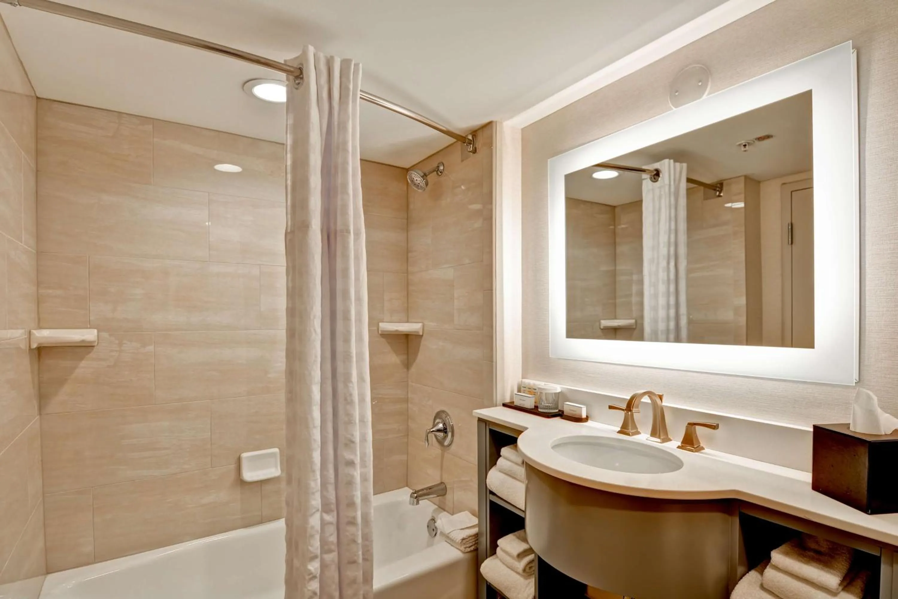 Bathroom in Embassy Suites by Hilton Orlando Downtown