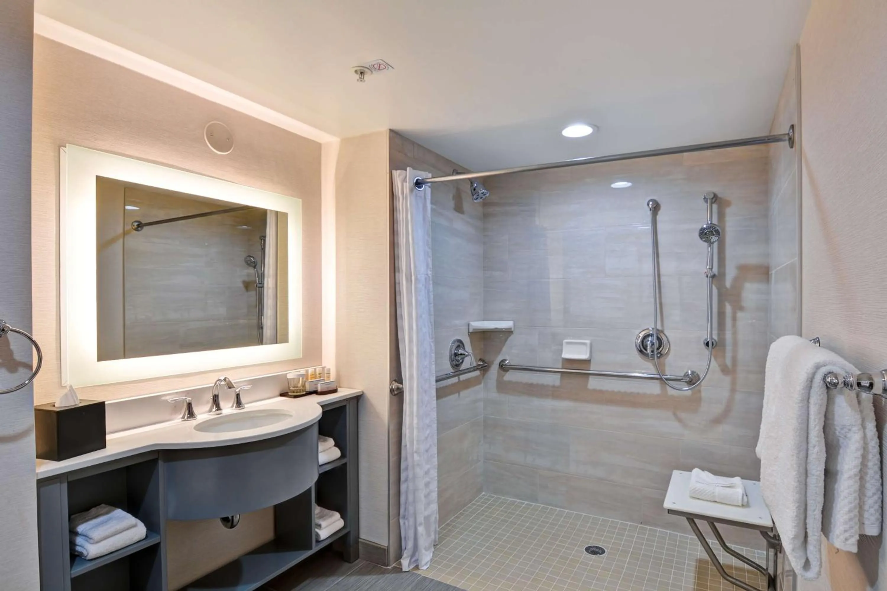 Bathroom in Embassy Suites by Hilton Orlando Downtown