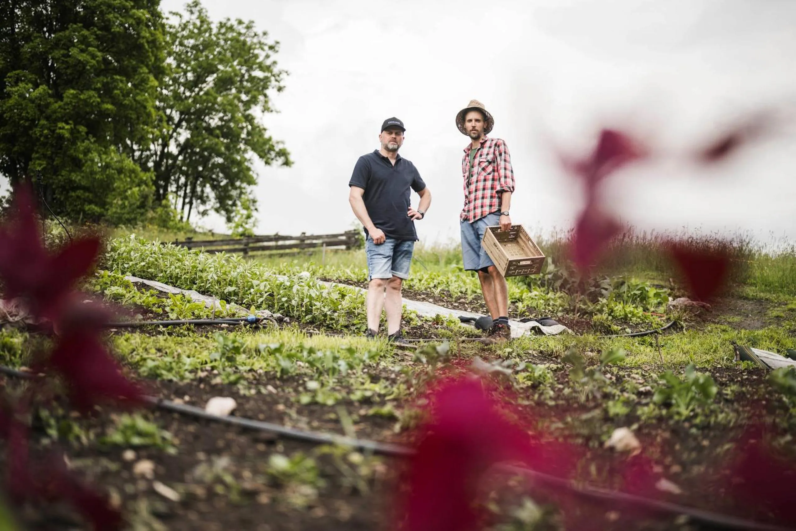 Restaurant/places to eat in Excelsior Dolomites Life Resort