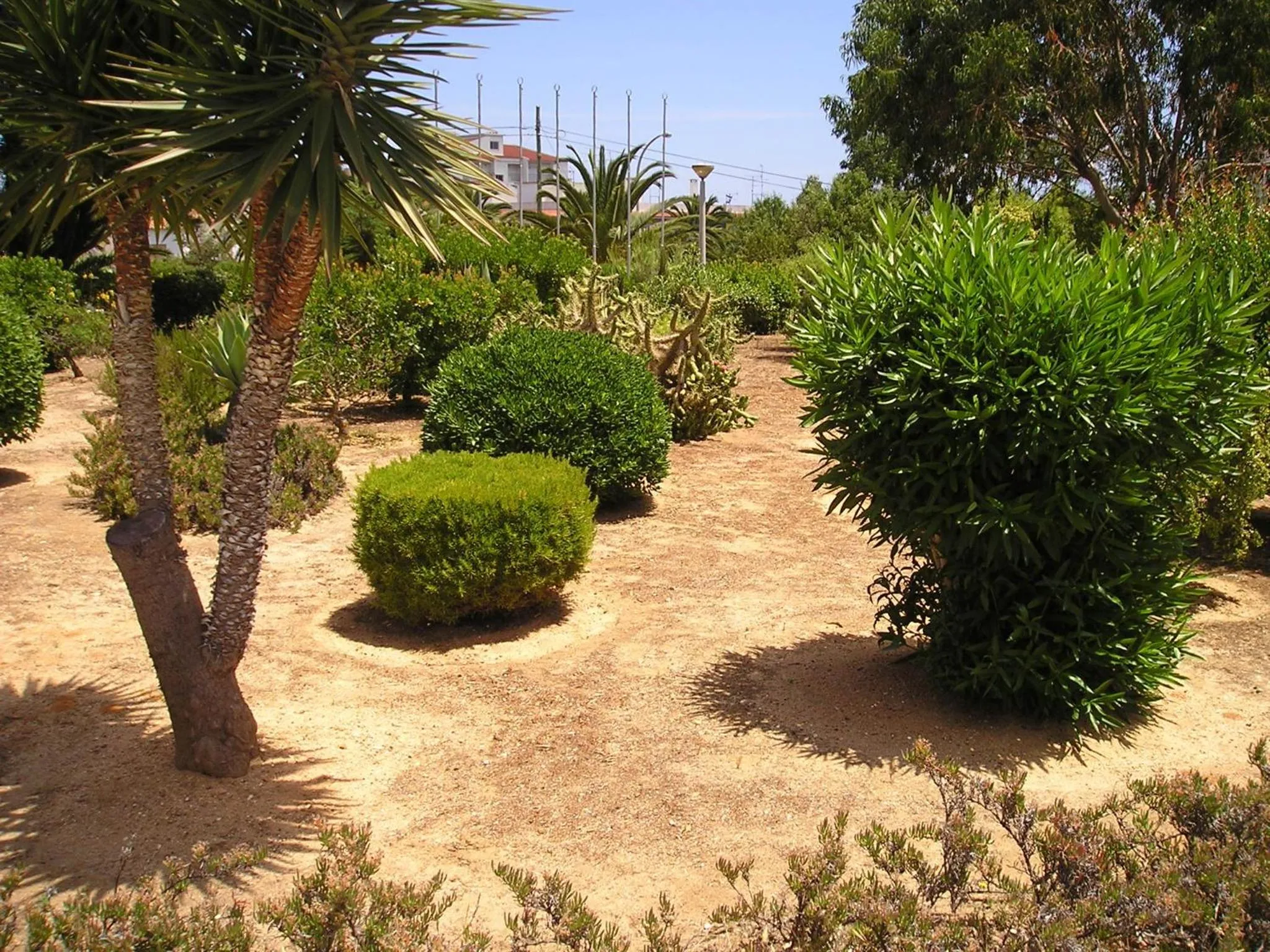 Garden in Apartamentos Turisticos Marsol
