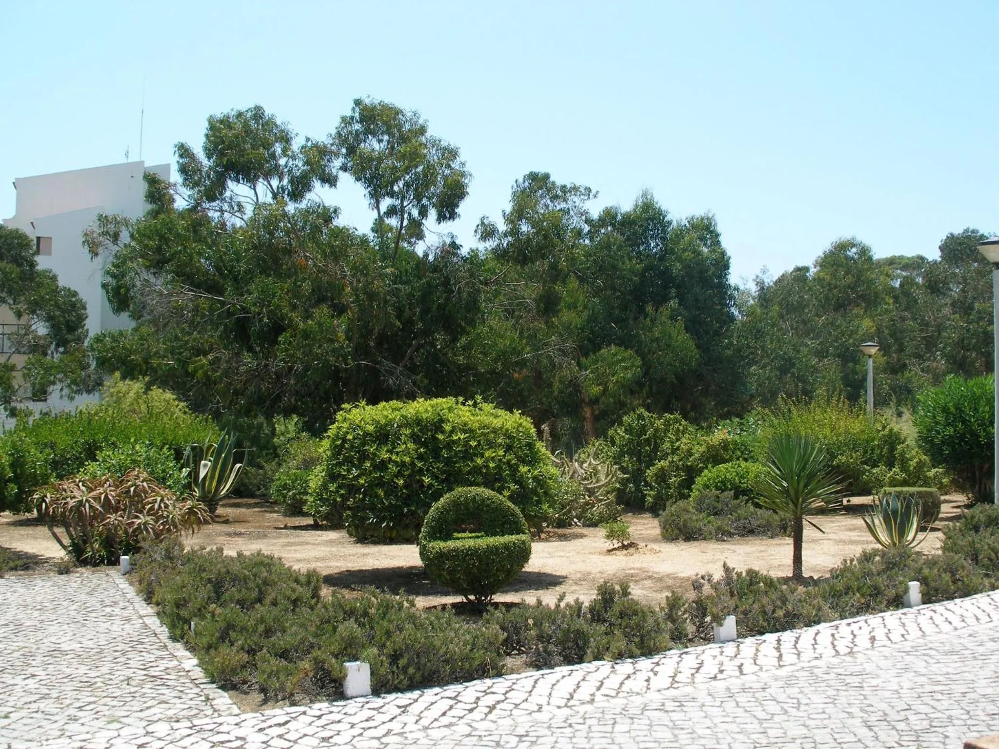 Garden in Apartamentos Turisticos Marsol
