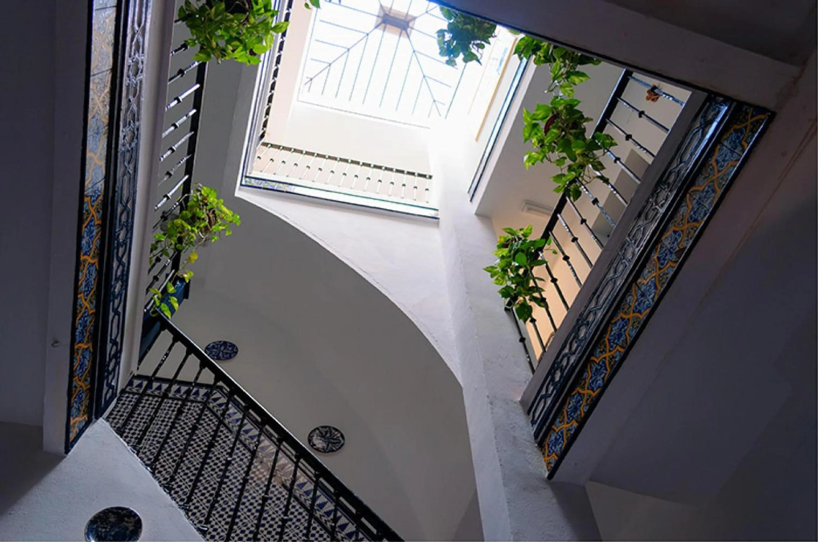 Patio in Pensión La Montoreña