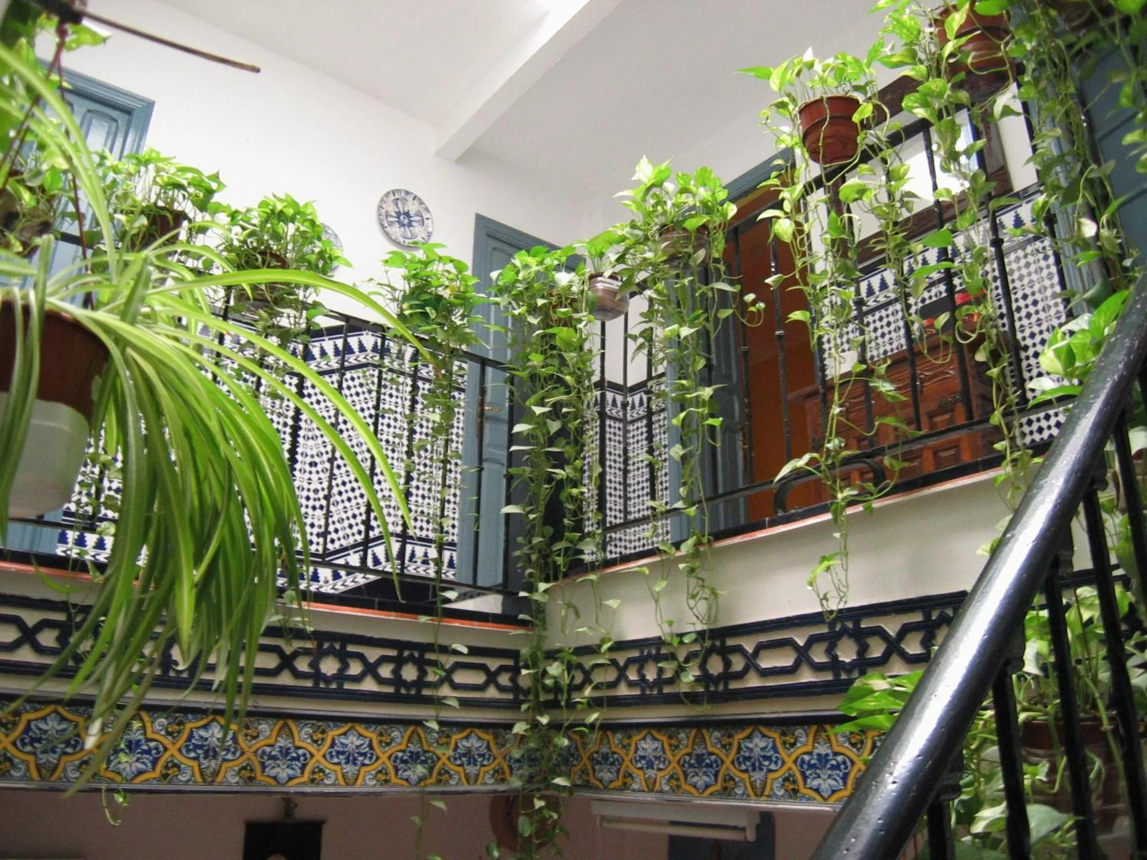 Patio in Pensión La Montoreña