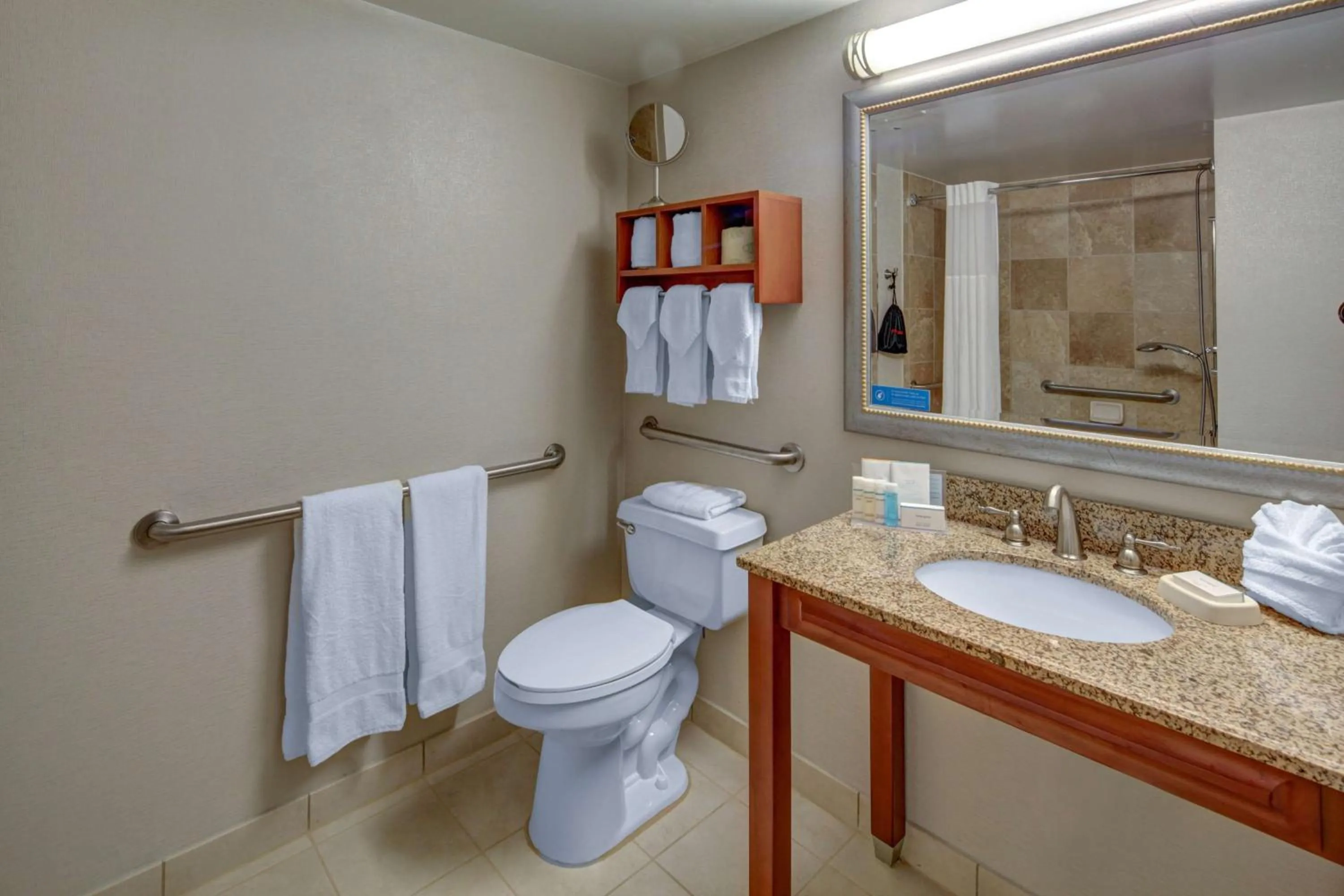 Bathroom in Hampton Inn Miami-Coconut Grove/Coral Gables