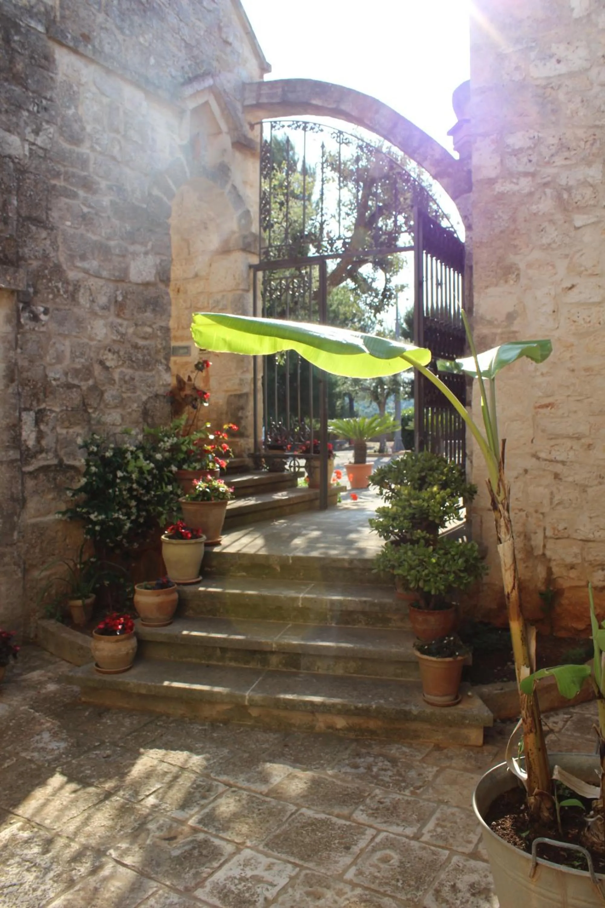 Property building in Masseria Tolla