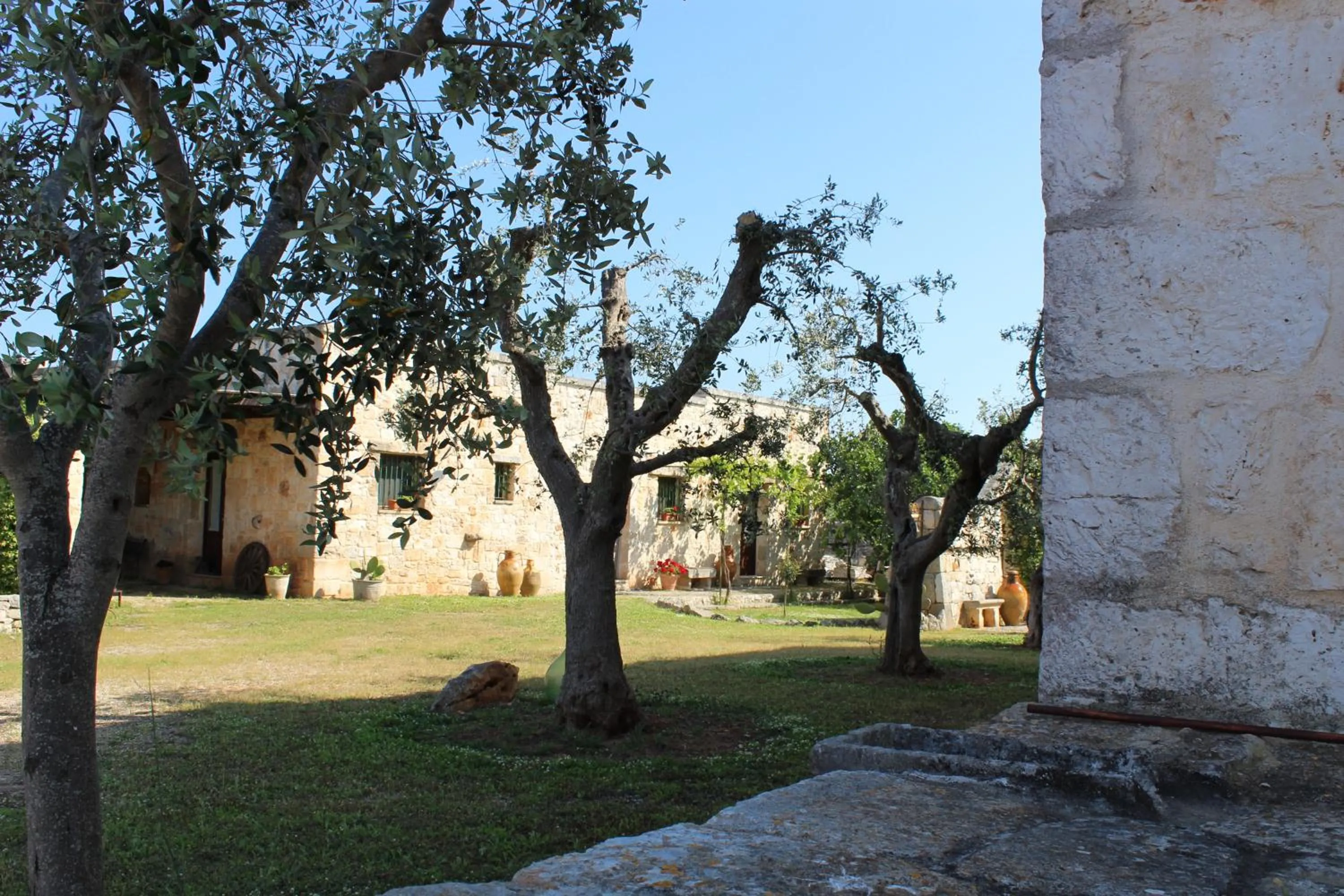 Garden in Masseria Tolla