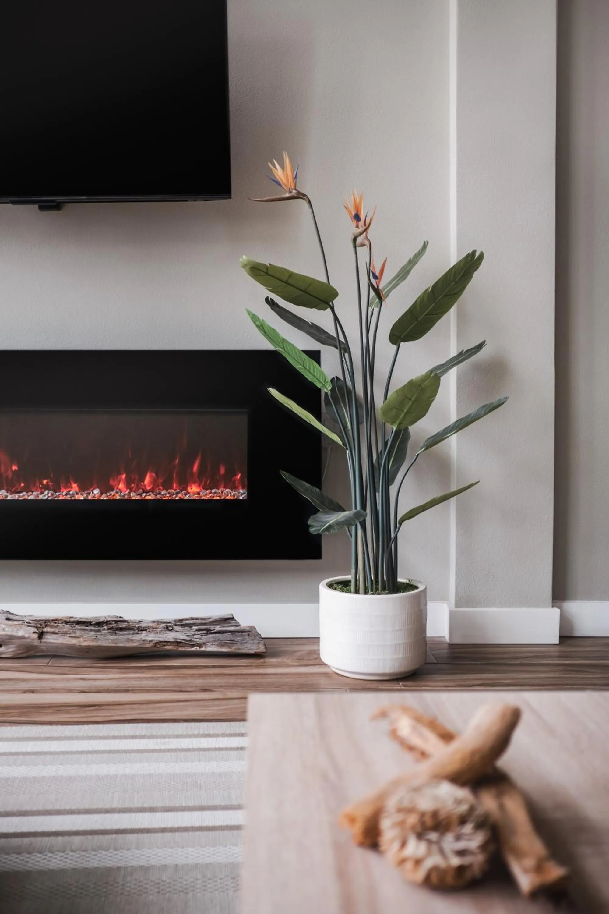 TV and multimedia in Ocean View Inn