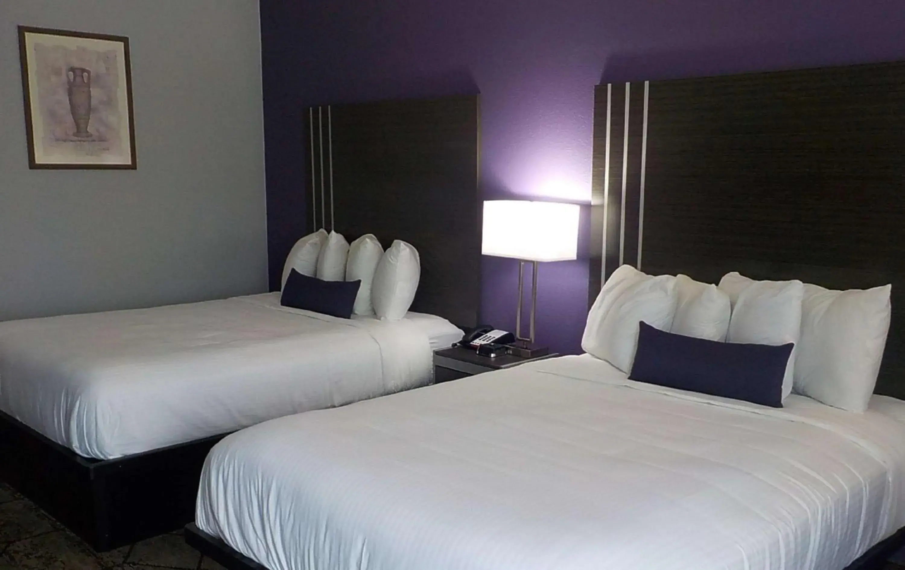 Queen Room with Two Queen Beds - Exterior Hall in SureStay Plus Hotel by Best Western Warner Robins AFB Queen Room with Two Queen Beds - Exterior Hall in SureStay Plus Hotel by Best Western Warner Robins AFB