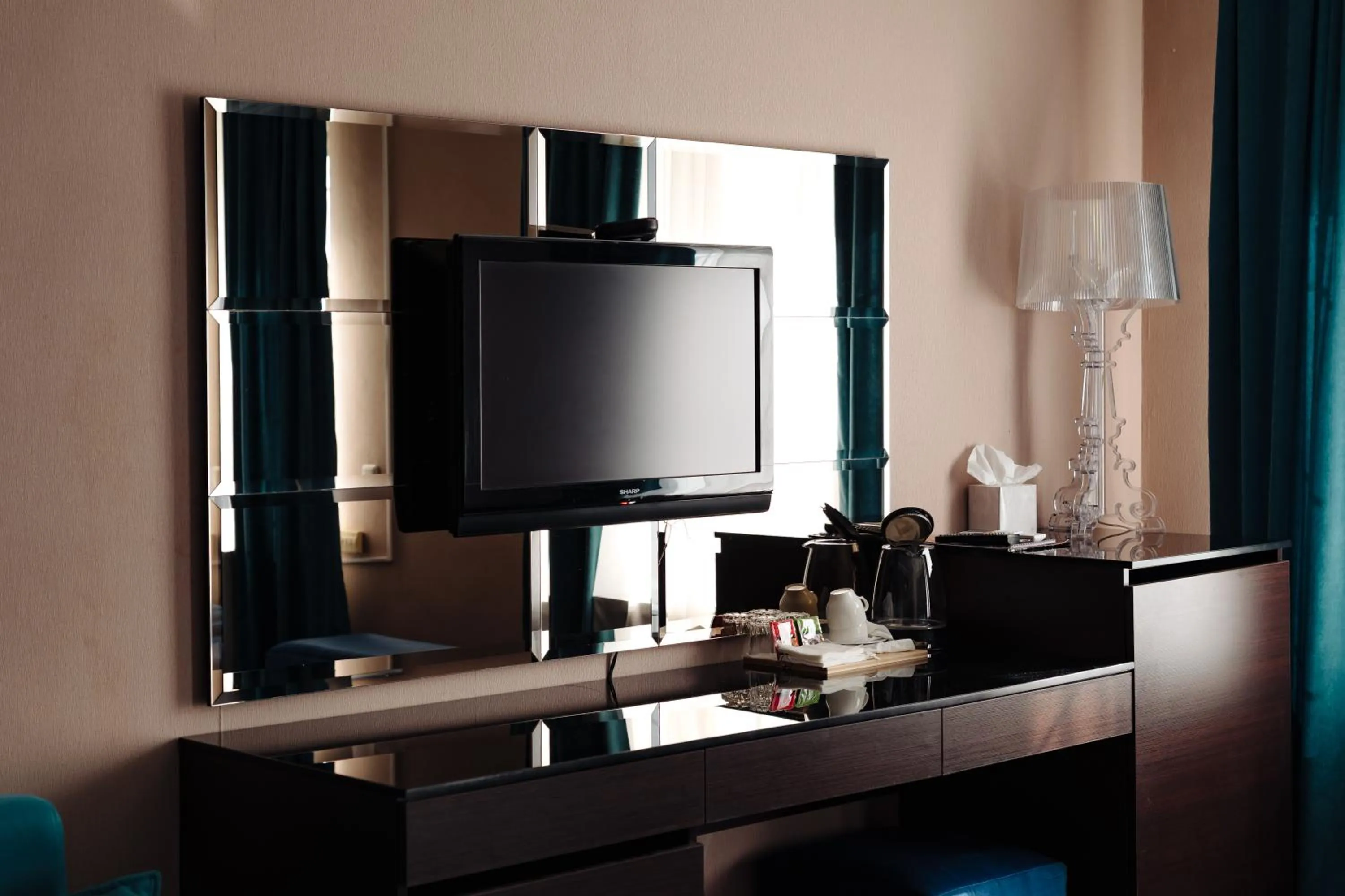 TV and multimedia in Maxim Pasha Hotel