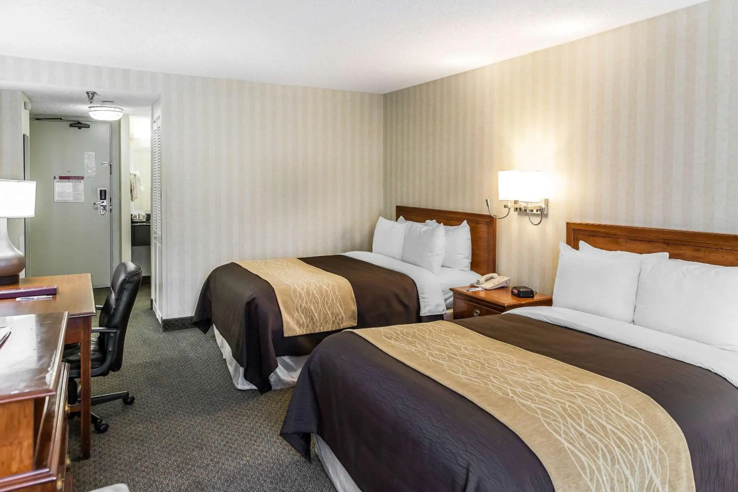 Double Room with Two Double Beds and Roll-In Shower - Accessible/Non-Smoking in Comfort Inn Pentagon City Double Room with Two Double Beds and Roll-In Shower - Accessible/Non-Smoking in Comfort Inn Pentagon City