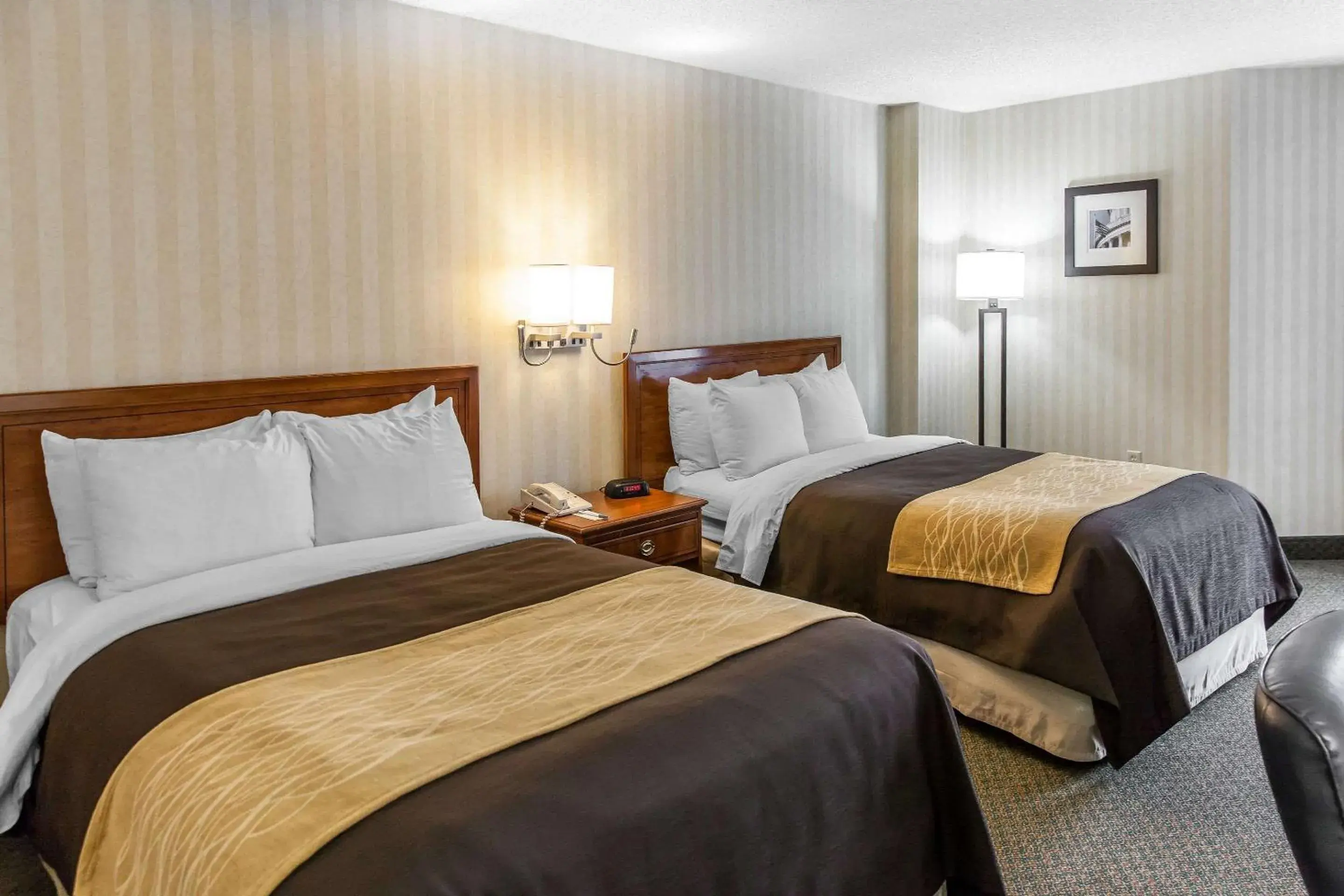 Double Room with Two Double Beds - Non-Smoking in Comfort Inn Pentagon City Double Room with Two Double Beds - Non-Smoking in Comfort Inn Pentagon City