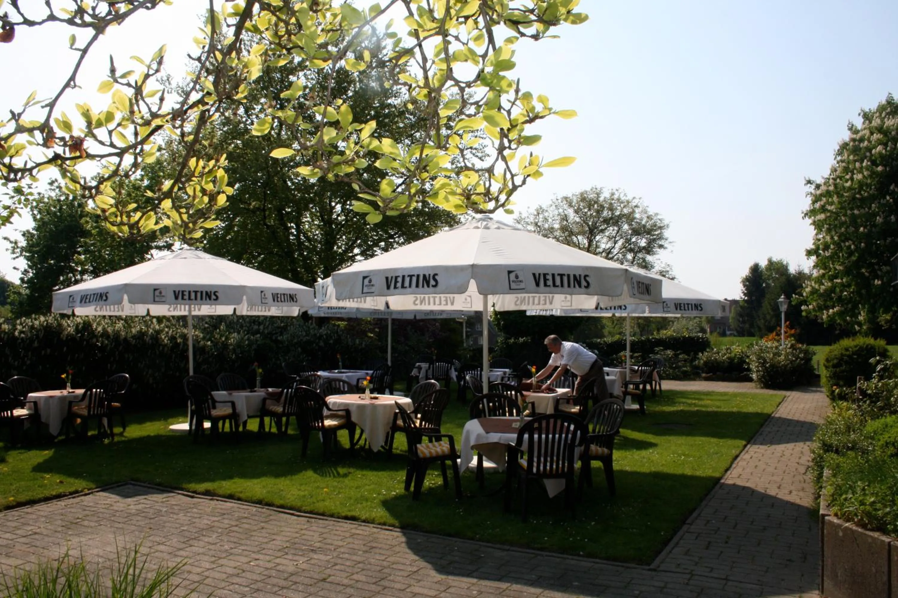 Restaurant/places to eat in Zur Alten Post