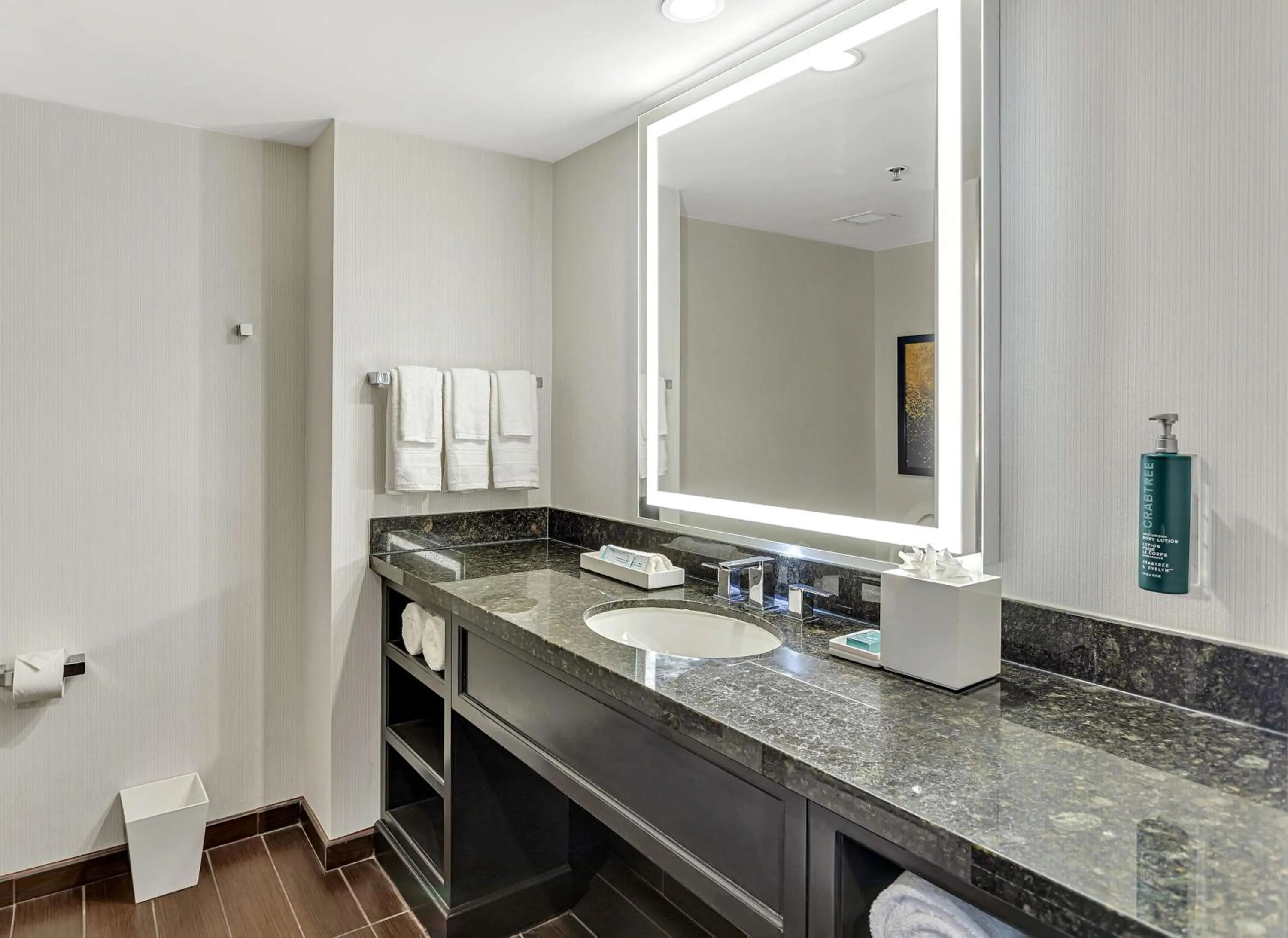 Bathroom in Hilton Miami Downtown