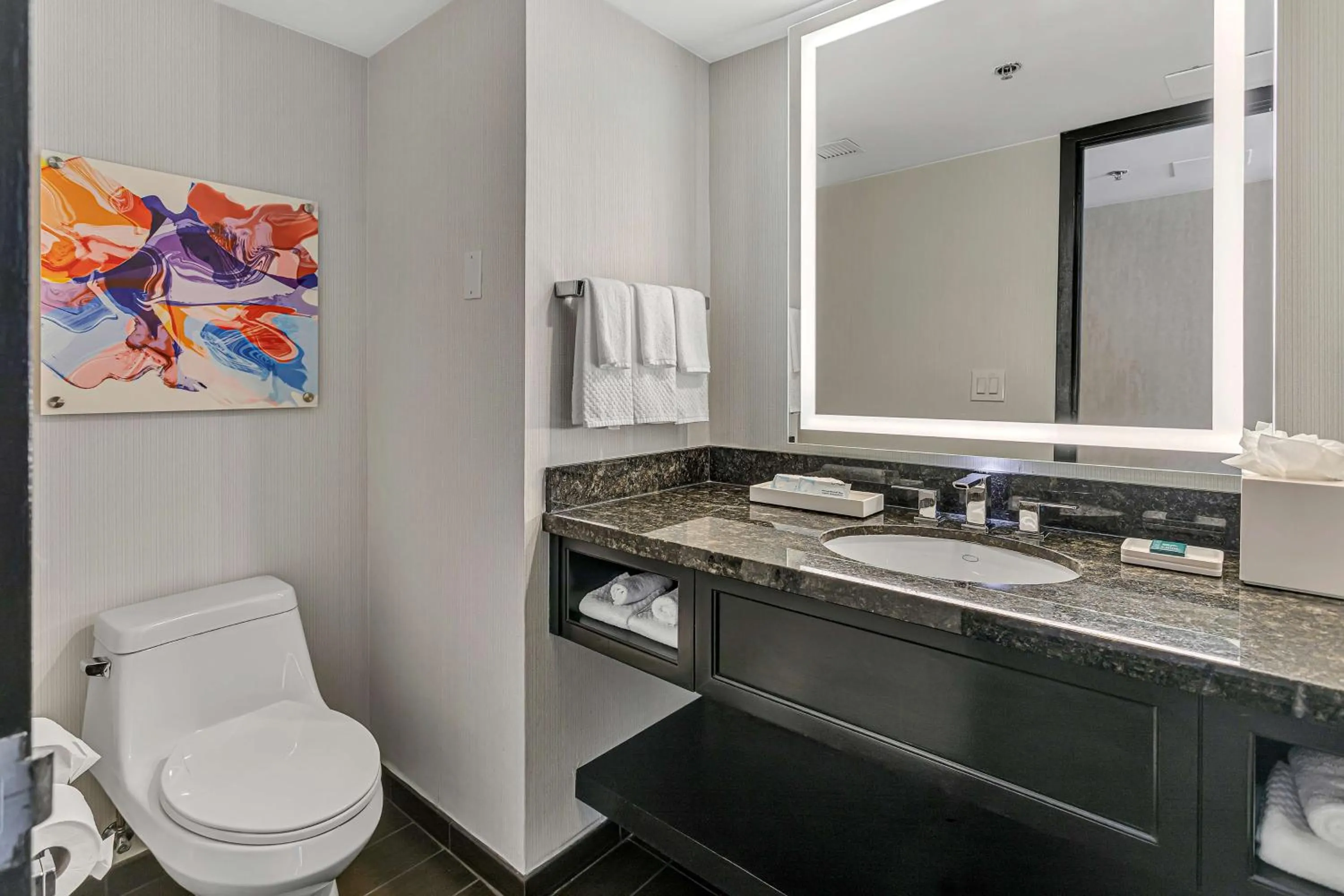 Bathroom in Hilton Miami Downtown