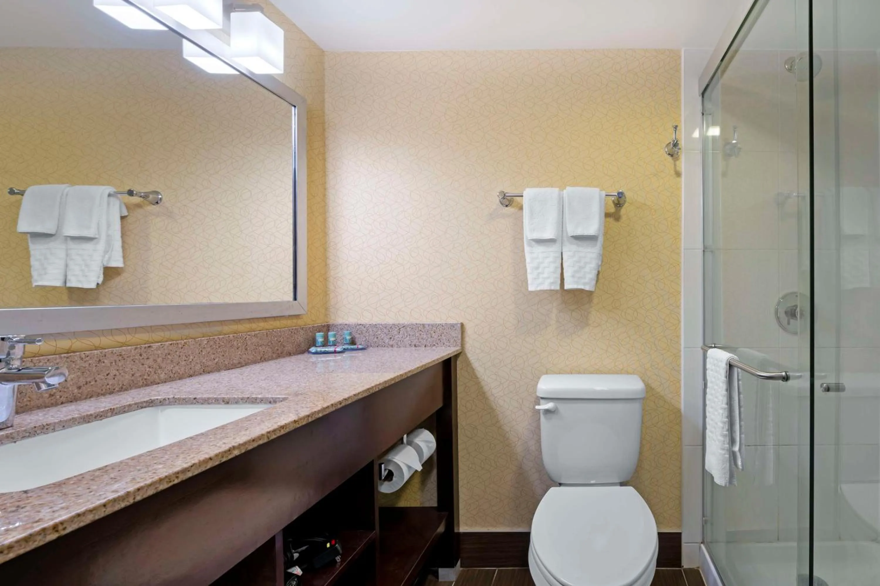 Bathroom in Best Western University Inn at Valparaiso