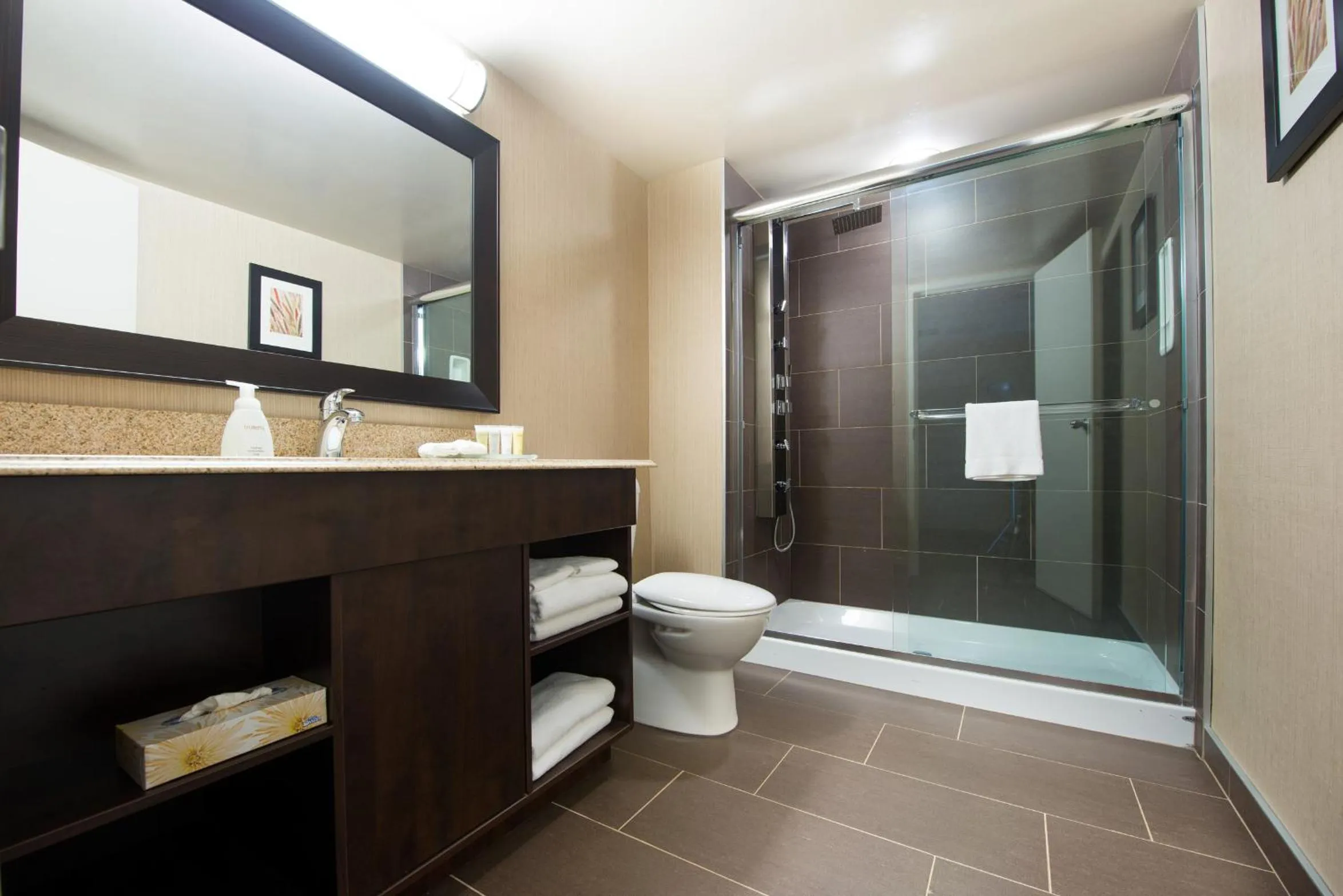 Bathroom in Victoria Inn Hotel & Convention Centre Brandon