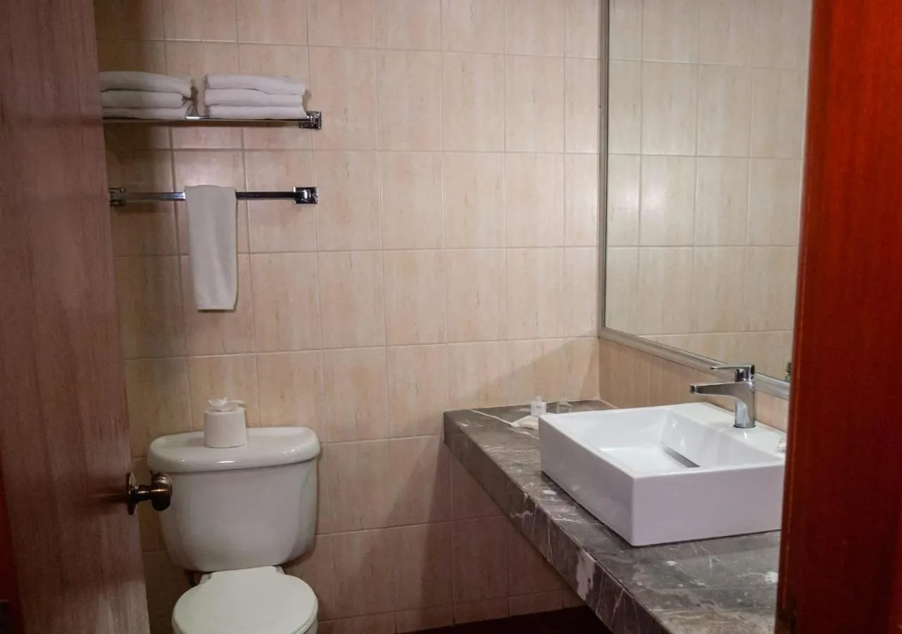 Bathroom in Hotel Fenix