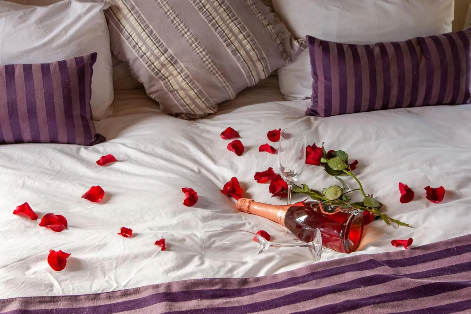 Drinks, Bed in Bedrock Guest Studios