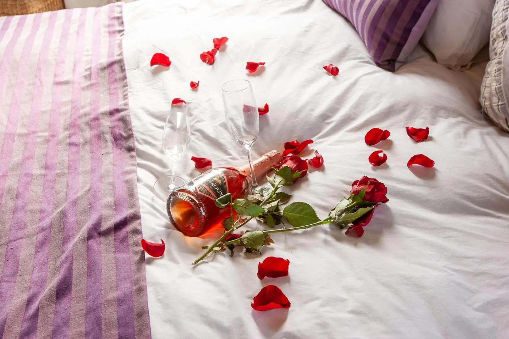 Alcoholic drinks, Bed in Bedrock Guest Studios