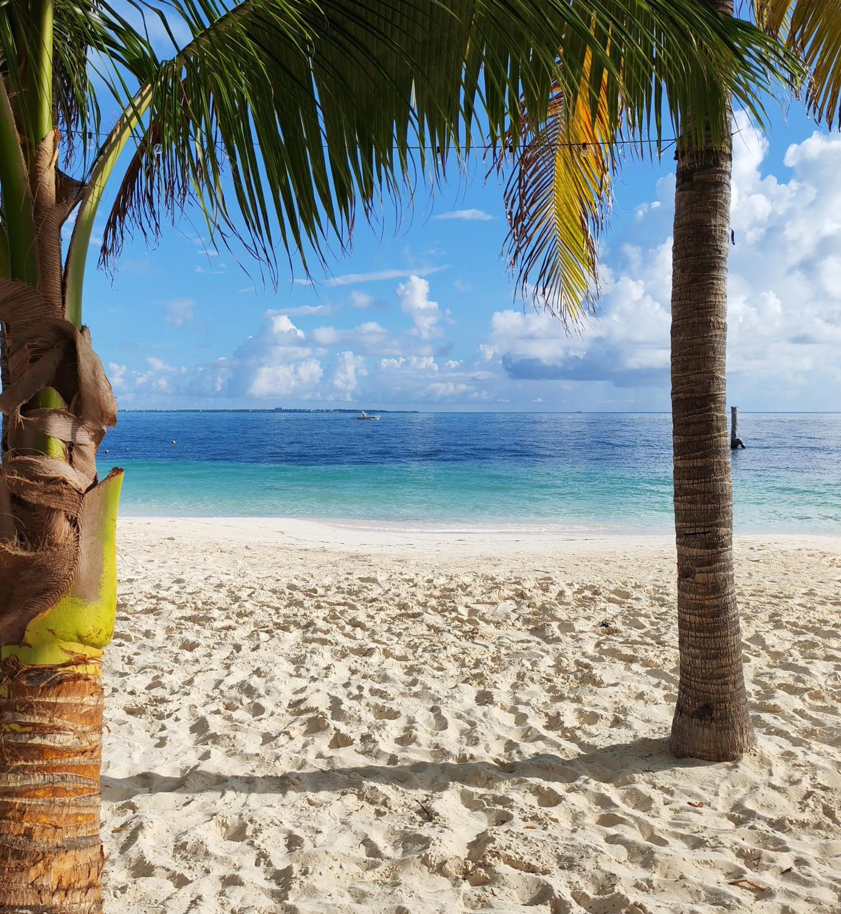 Beach in Hotel Maya Caribe Faranda Cancún