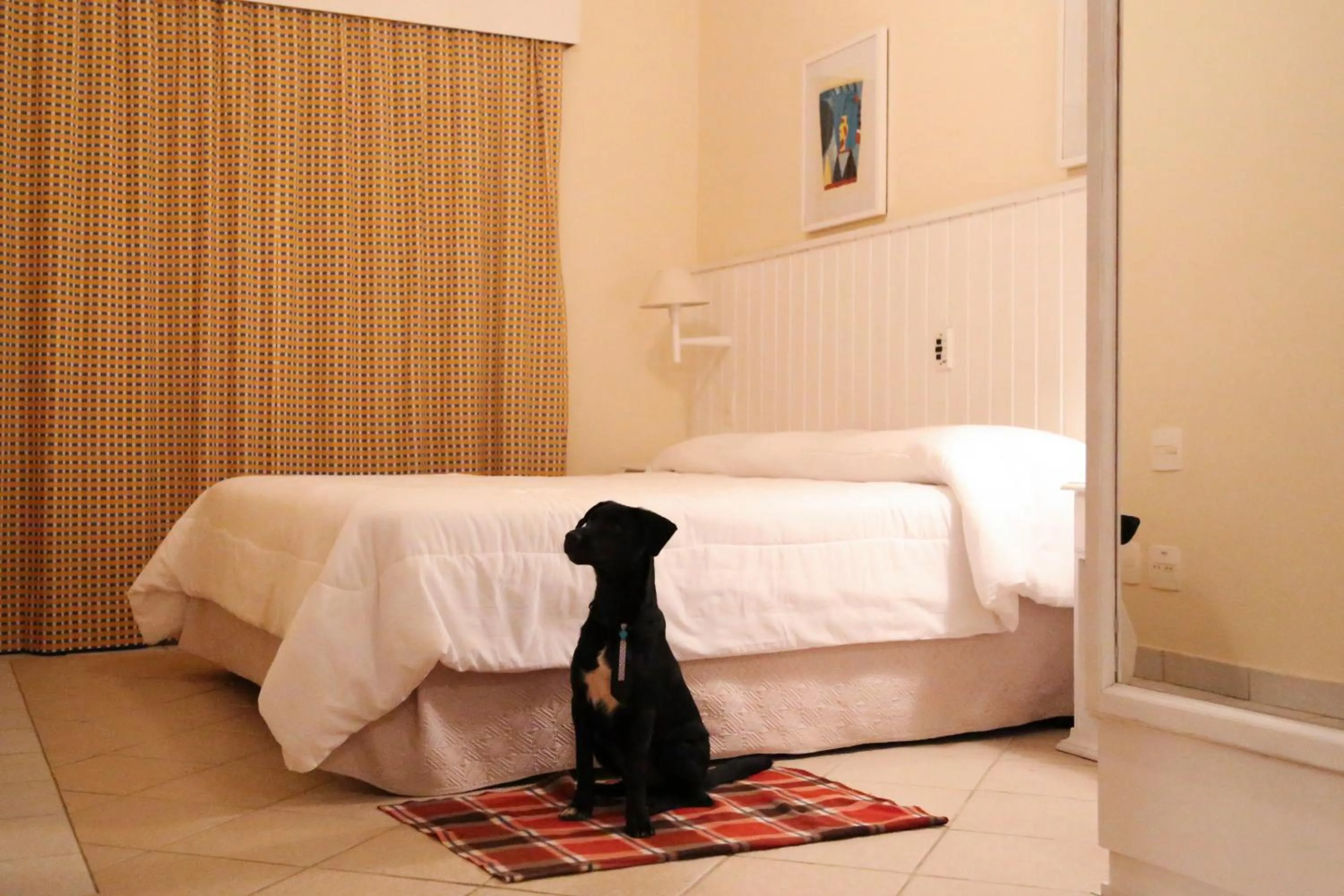 Decorative detail, Bed in Vitória Hotel Residence NewPort