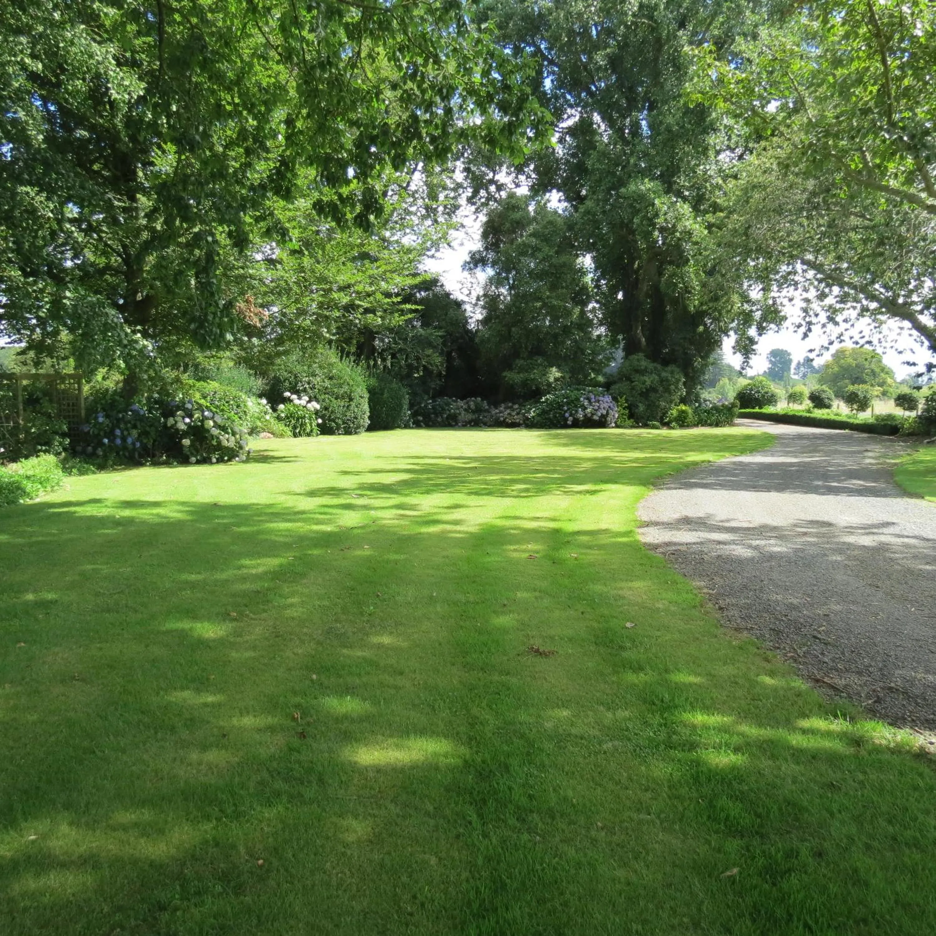 Garden view in Mohaonui Farmstay