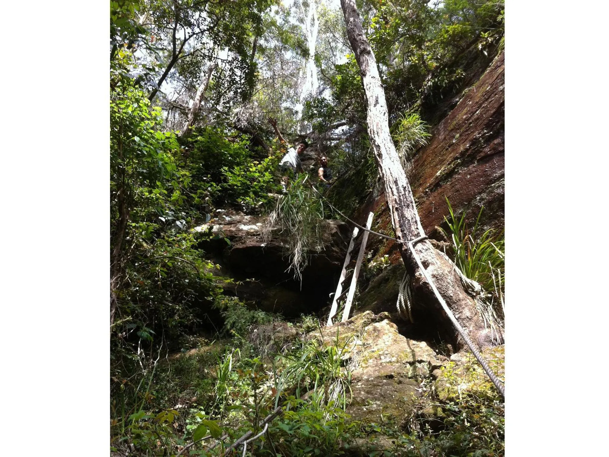 Natural landscape in Sinclairs Country Retreat - Adults Only