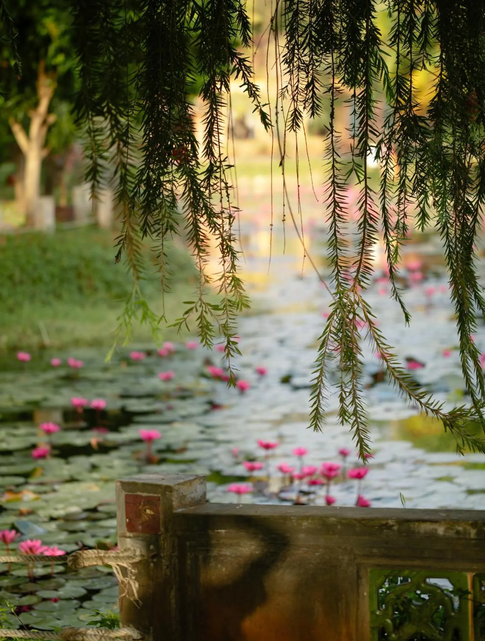 Ho Tram Beach Boutique Resort & Spa