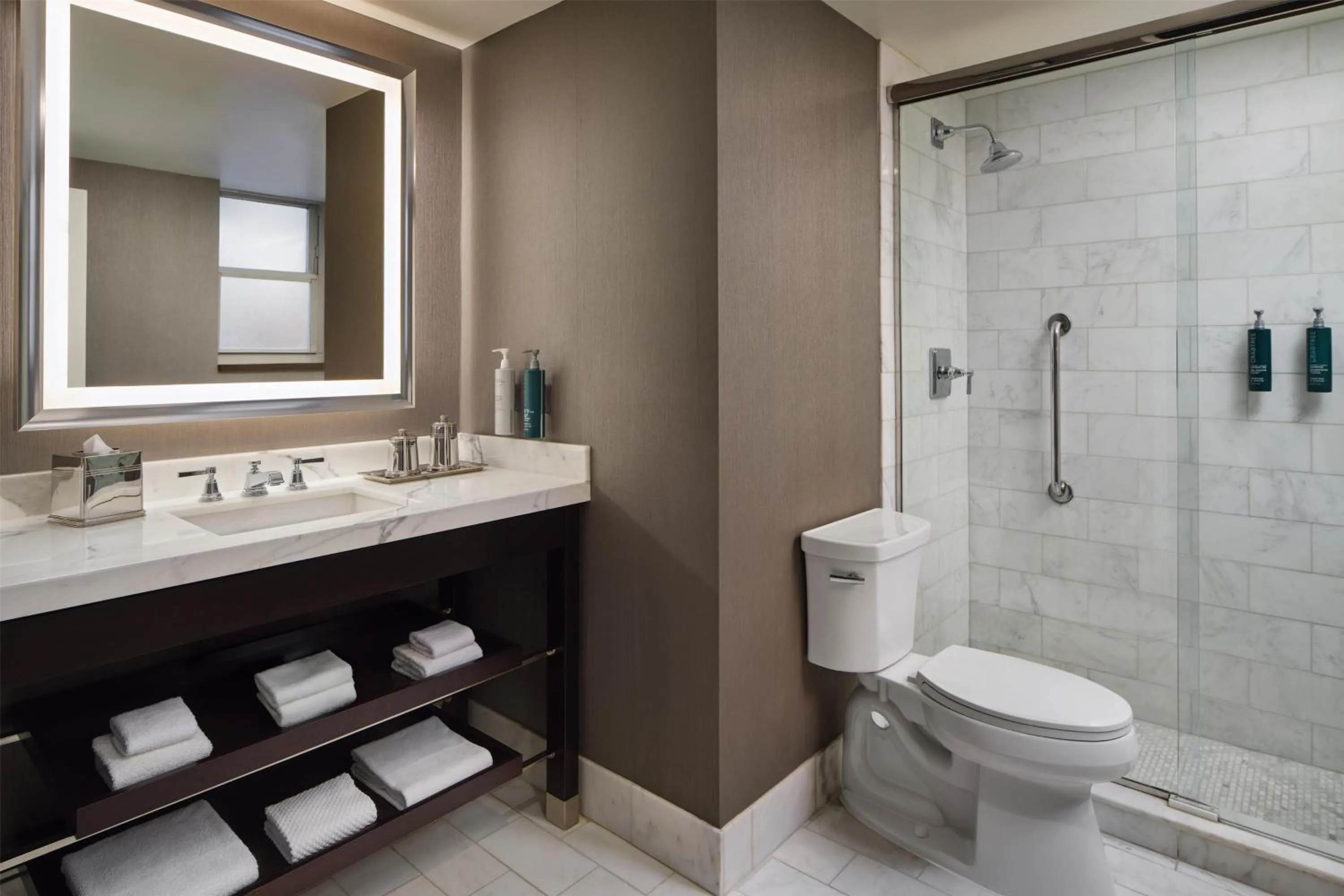 Bathroom in Hilton Chicago