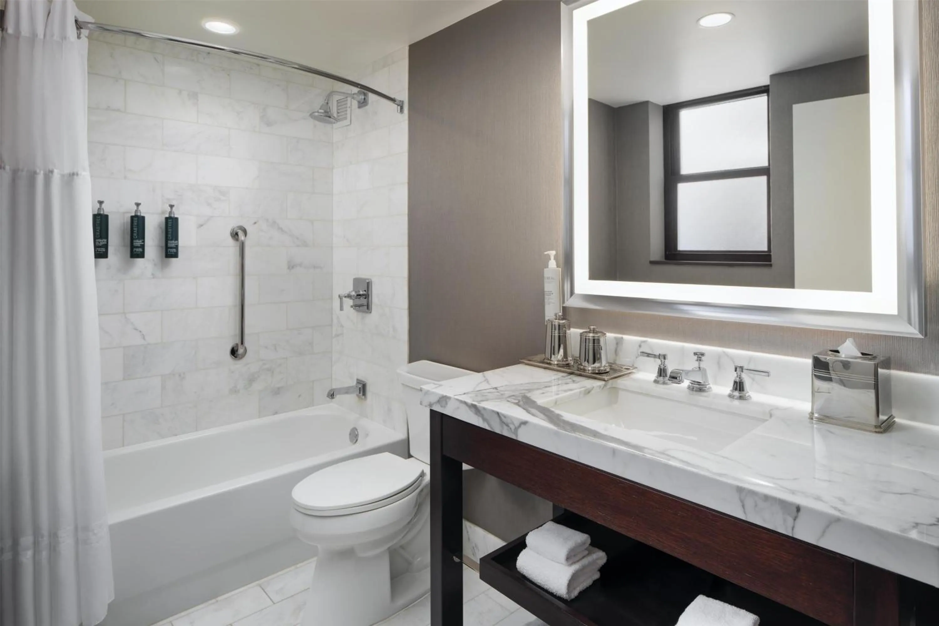 Bathroom in Hilton Chicago