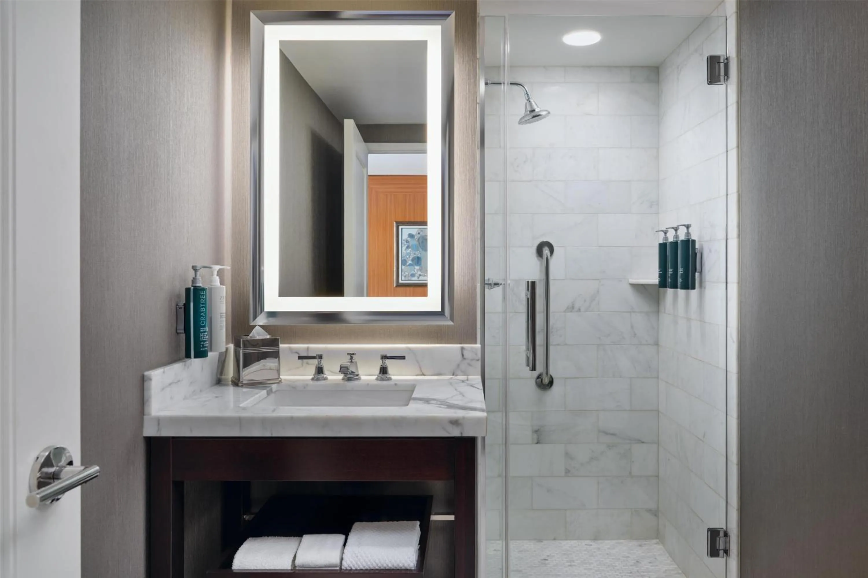 Bathroom in Hilton Chicago