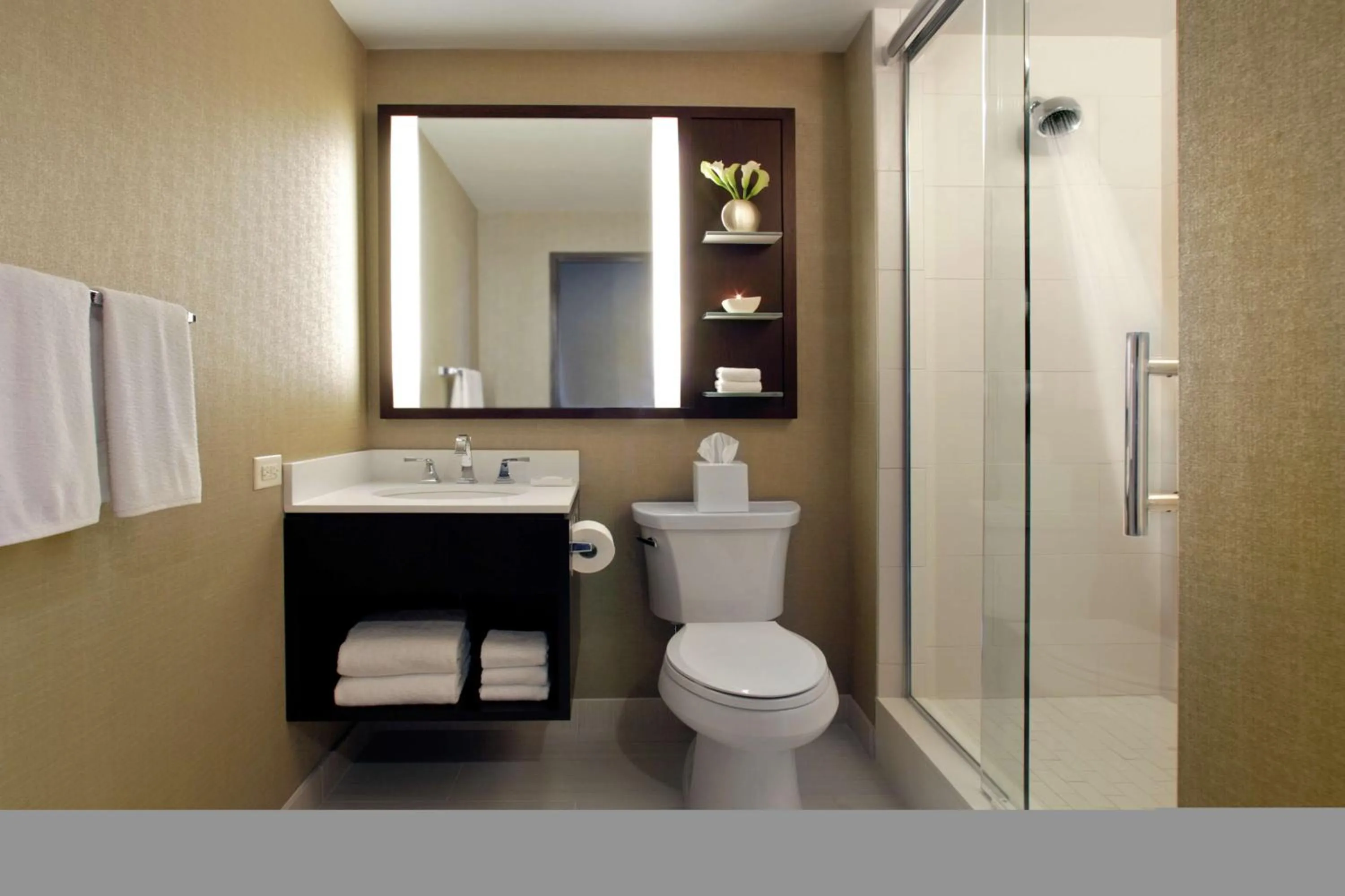 Bathroom in Hilton Chicago