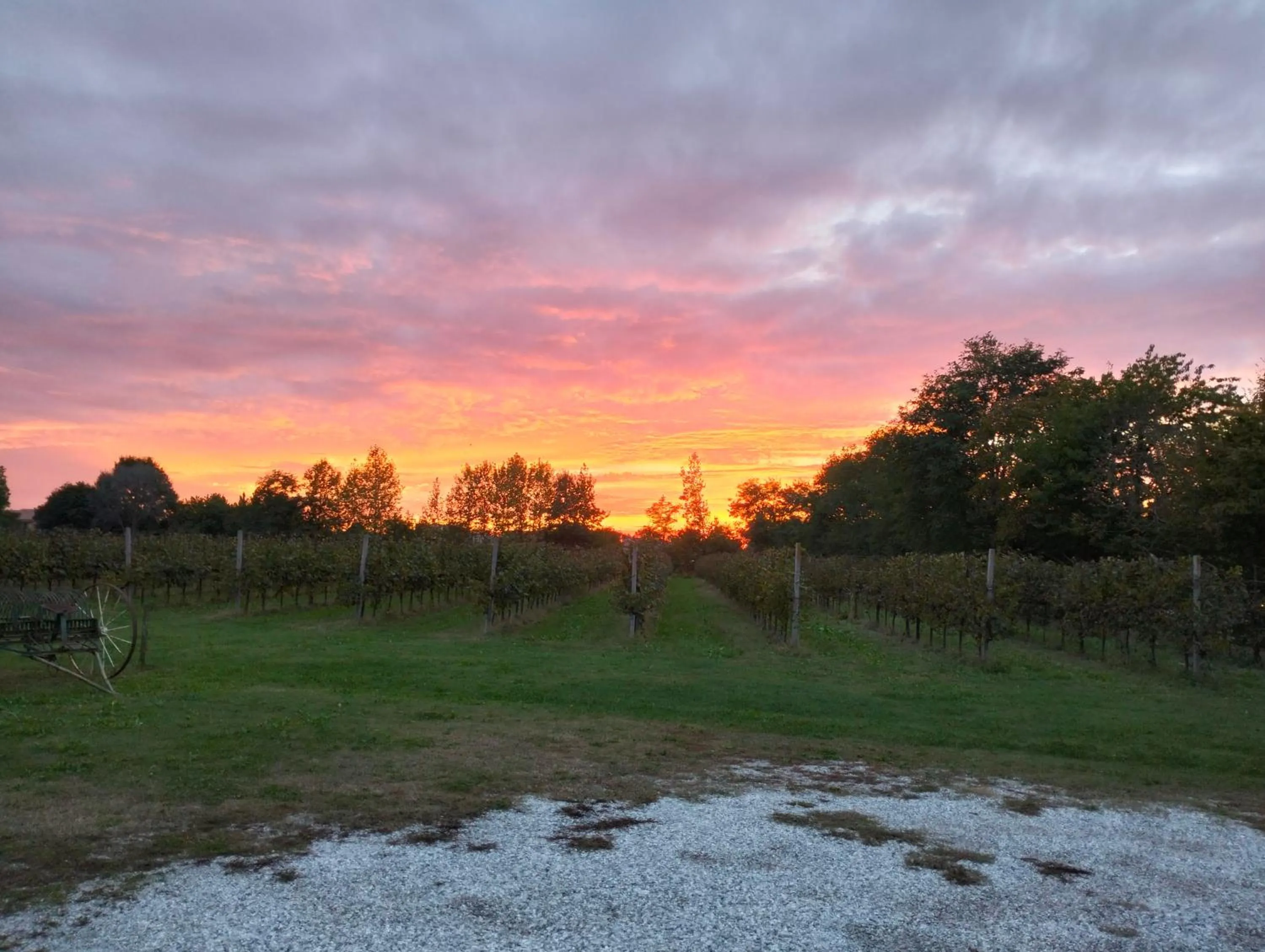 Natural landscape in AGRITURISMO Barone Rosso