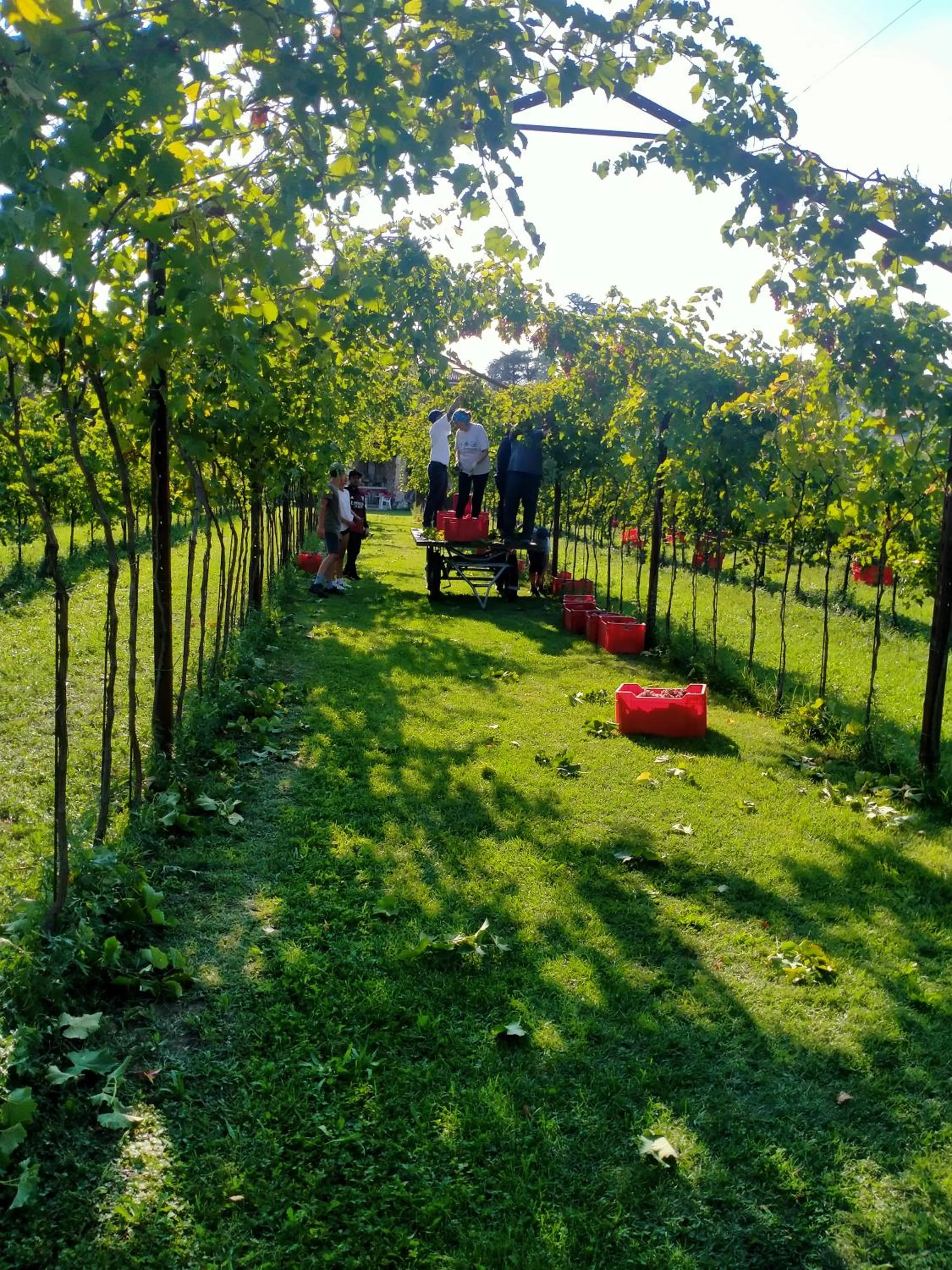 Natural landscape in AGRITURISMO Barone Rosso