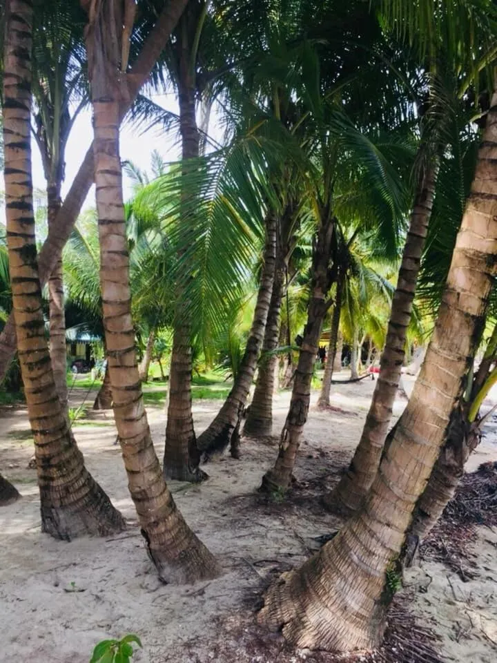 Mook Tamarind Resort