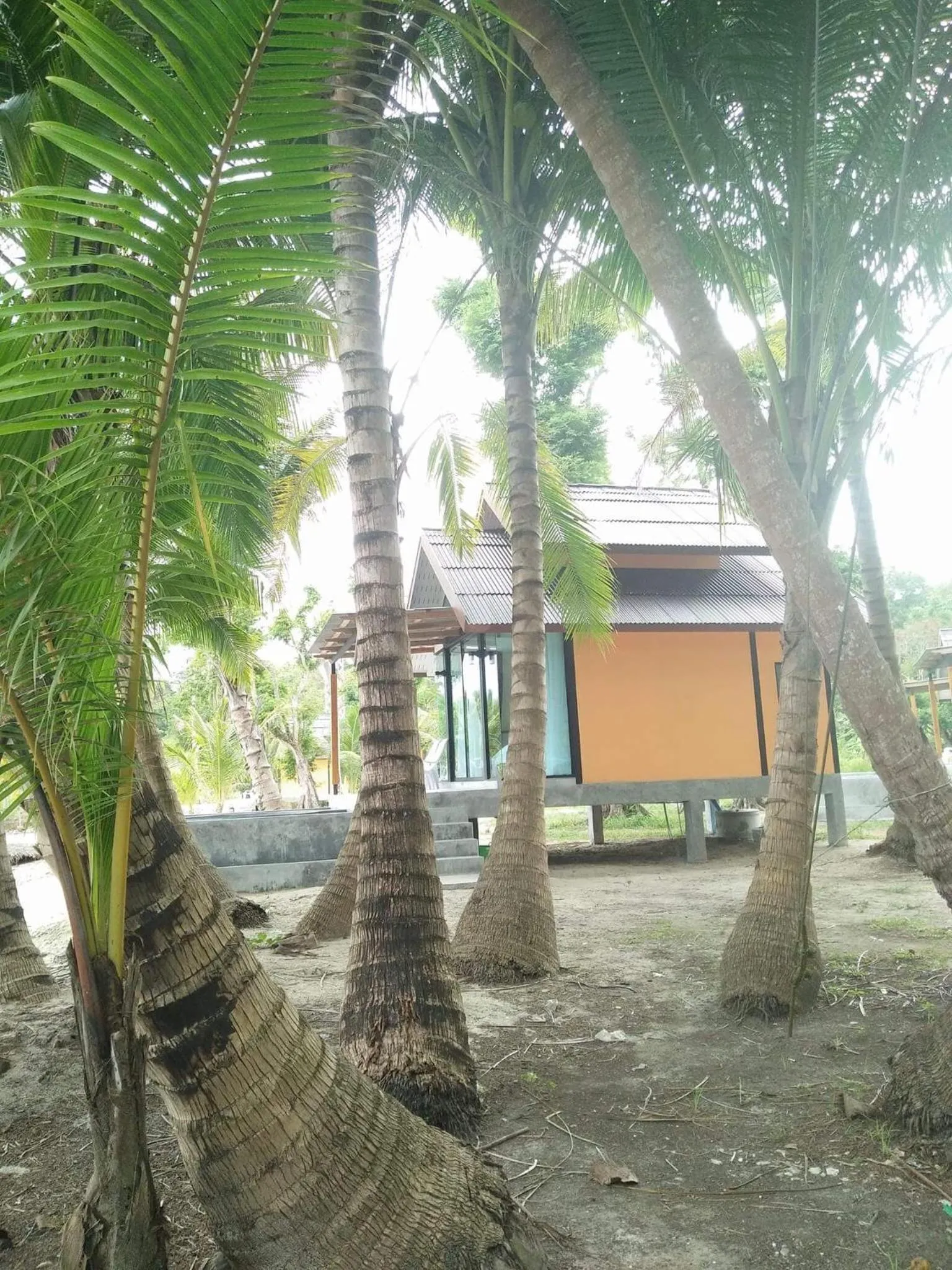 Mook Tamarind Resort