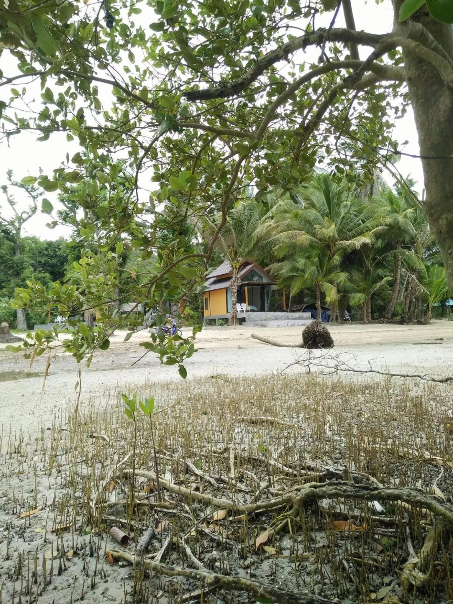 Mook Tamarind Resort