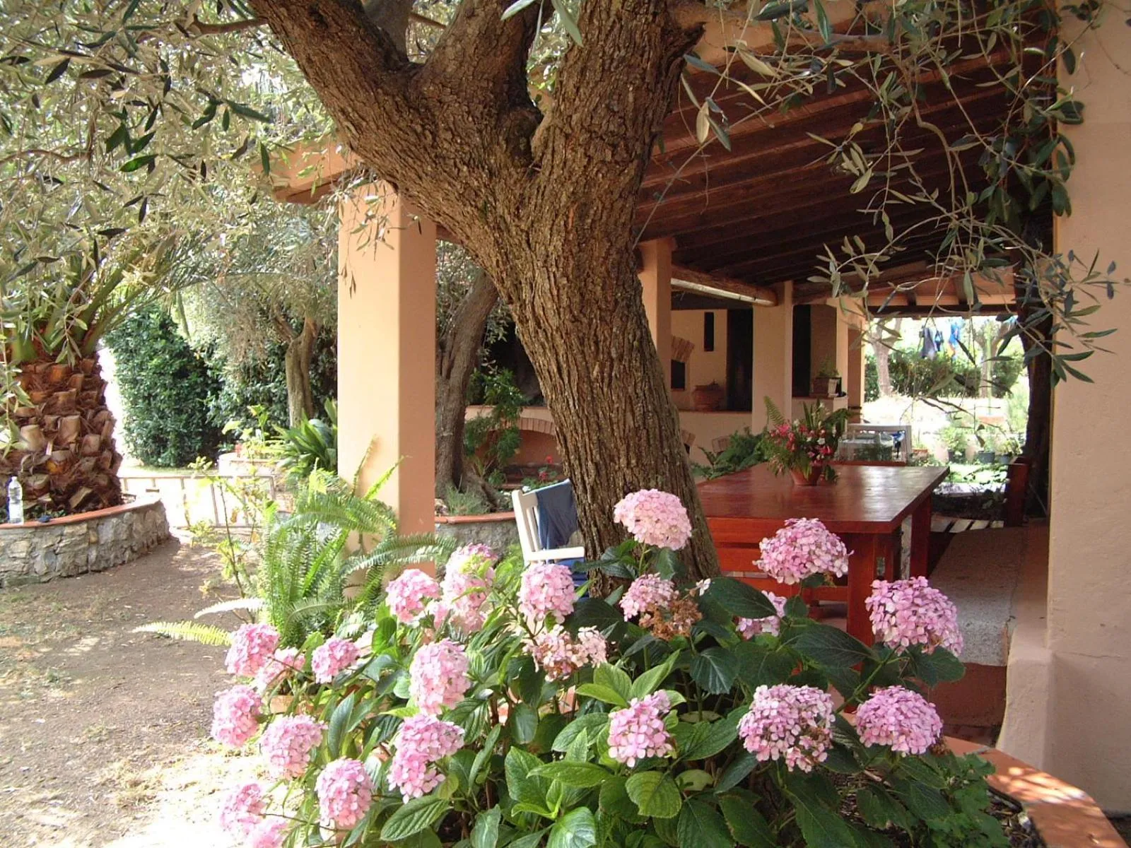 Patio in Residenza La Limonaia