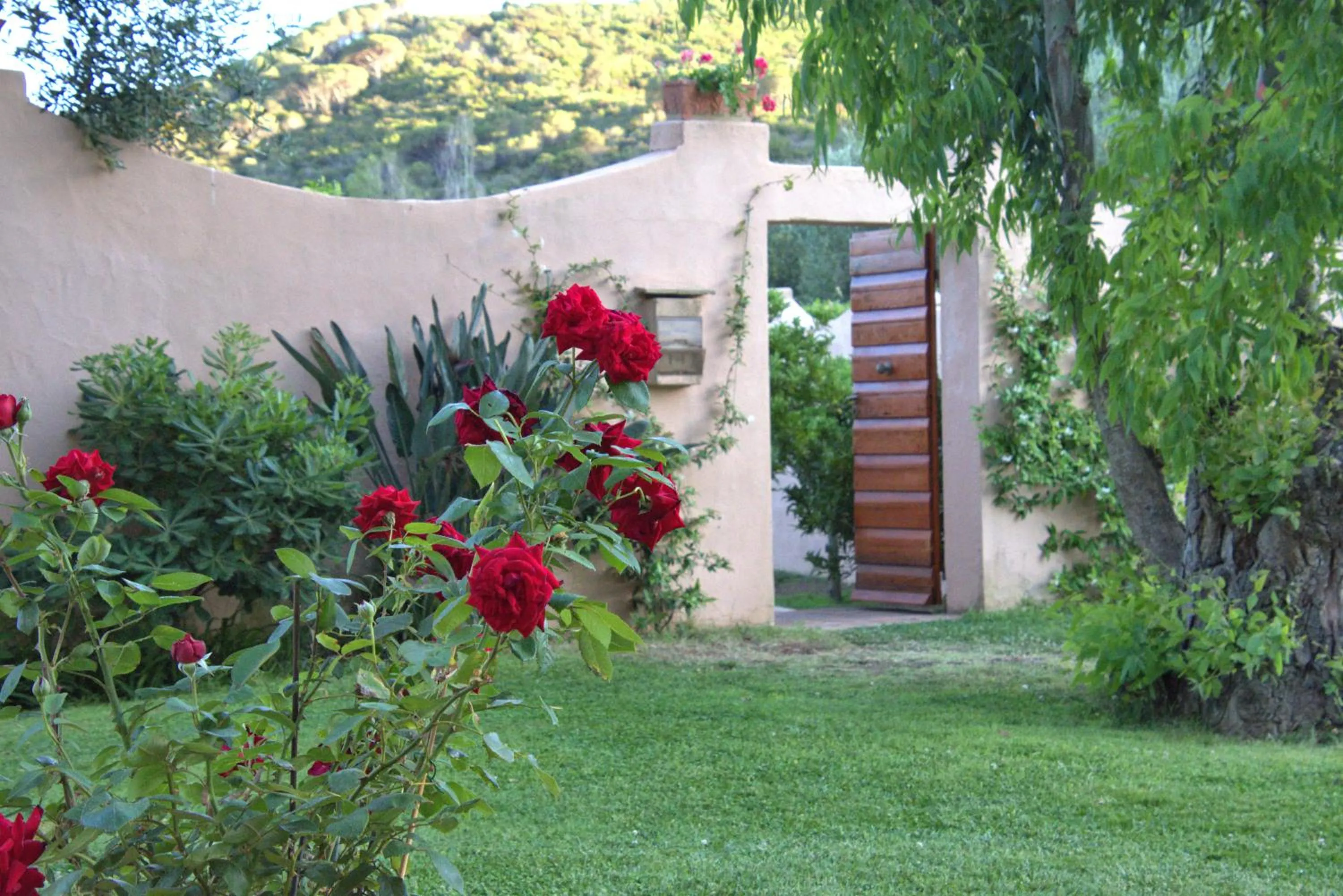 Residenza La Limonaia