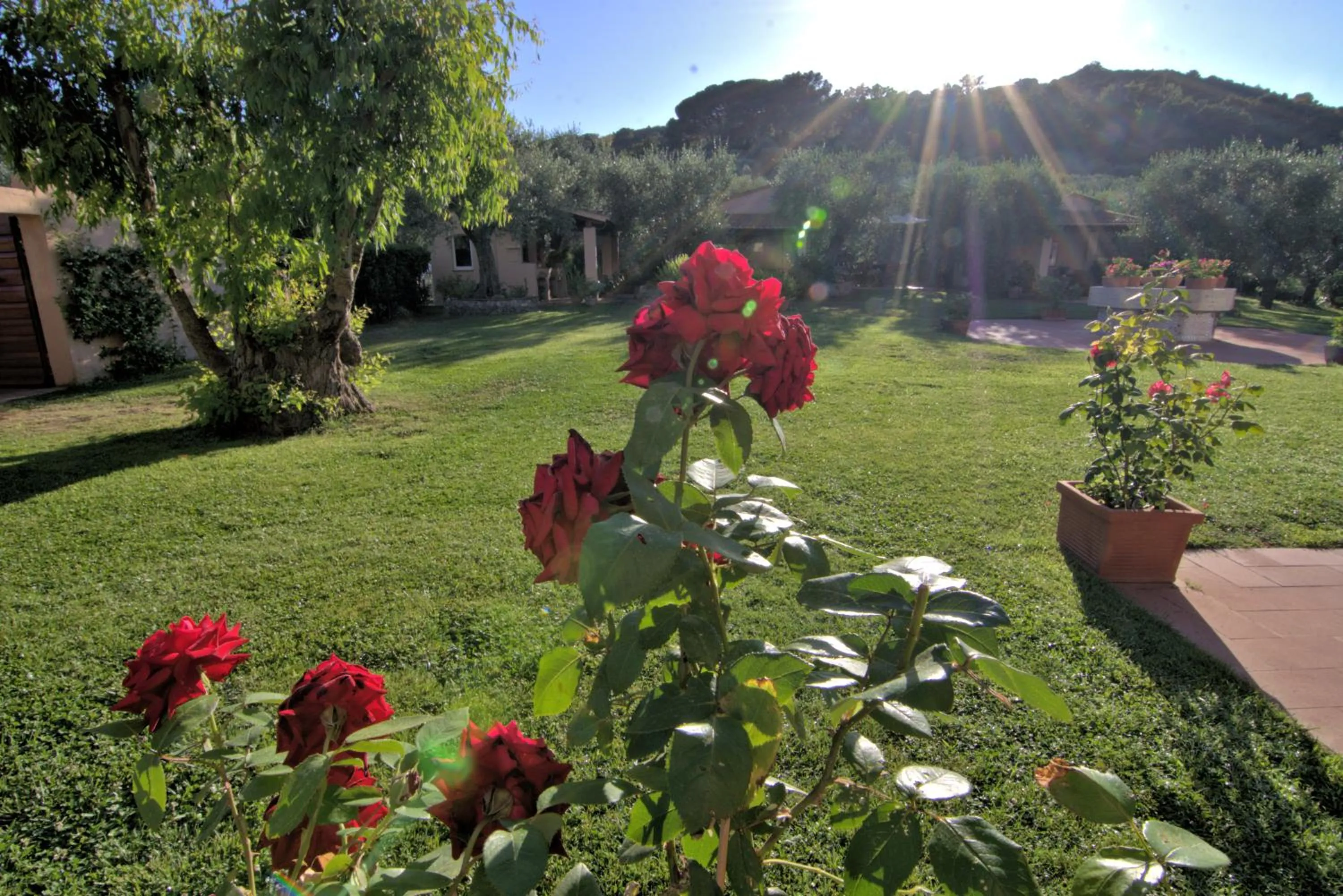 Residenza La Limonaia