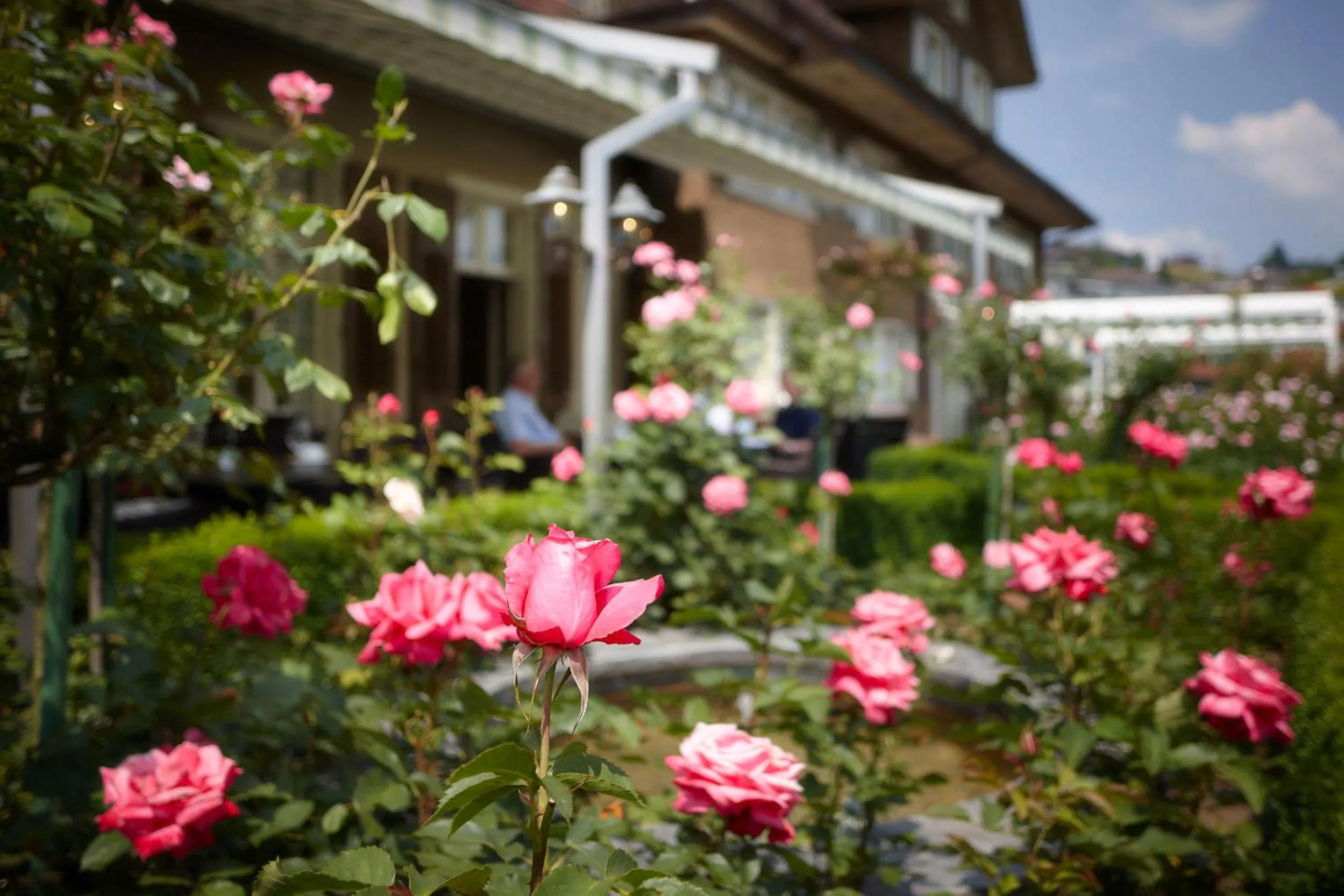 Balcony/Terrace in Landgasthof Hotel Rössli